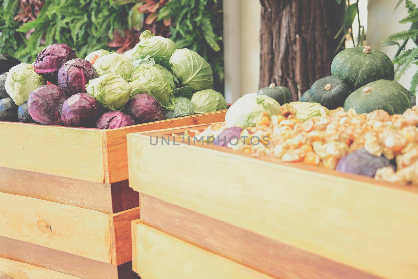 fruit vegetables in wooden cart wagon harvesting from farm