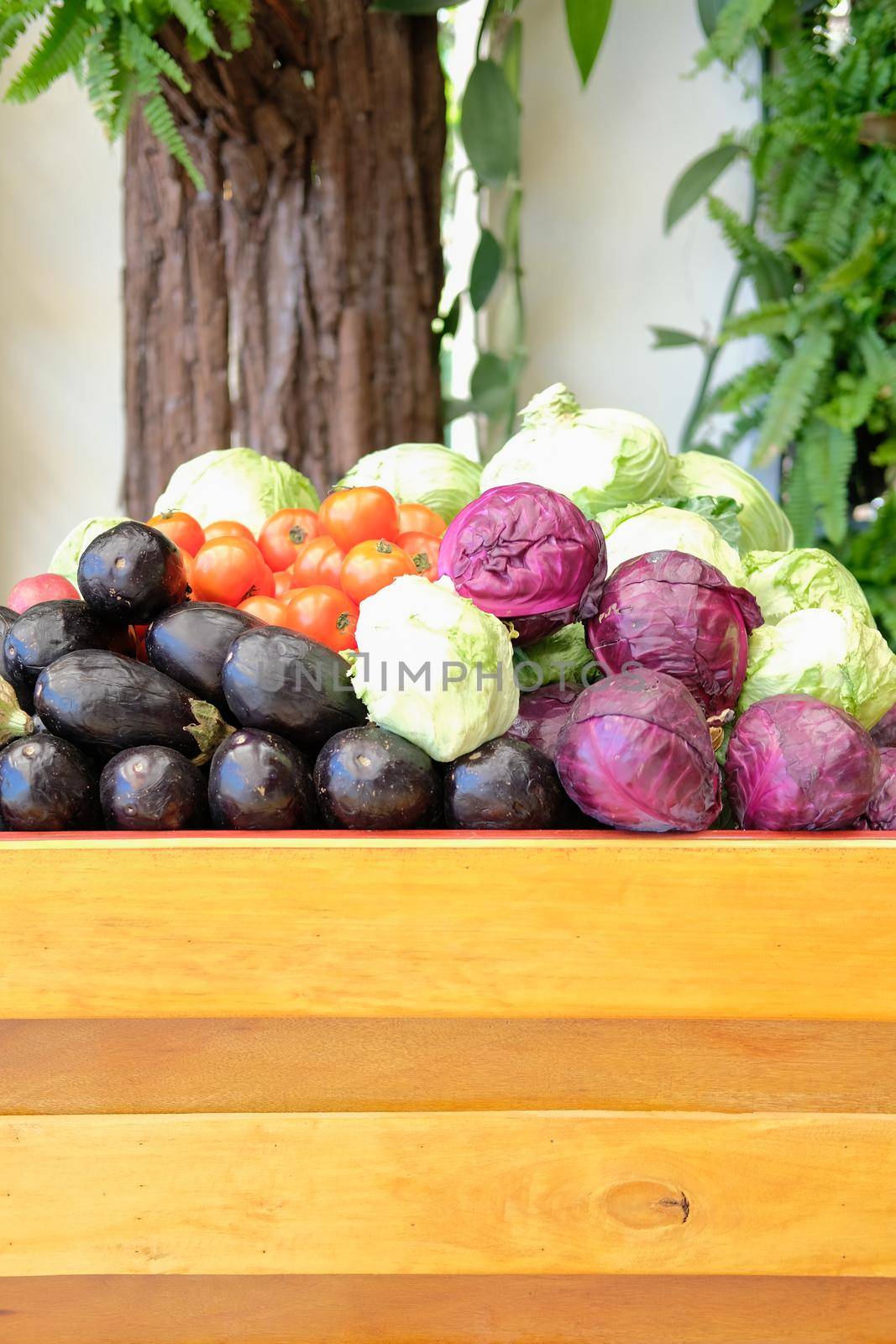 fruit vegetables in wooden cart wagon harvesting from farm