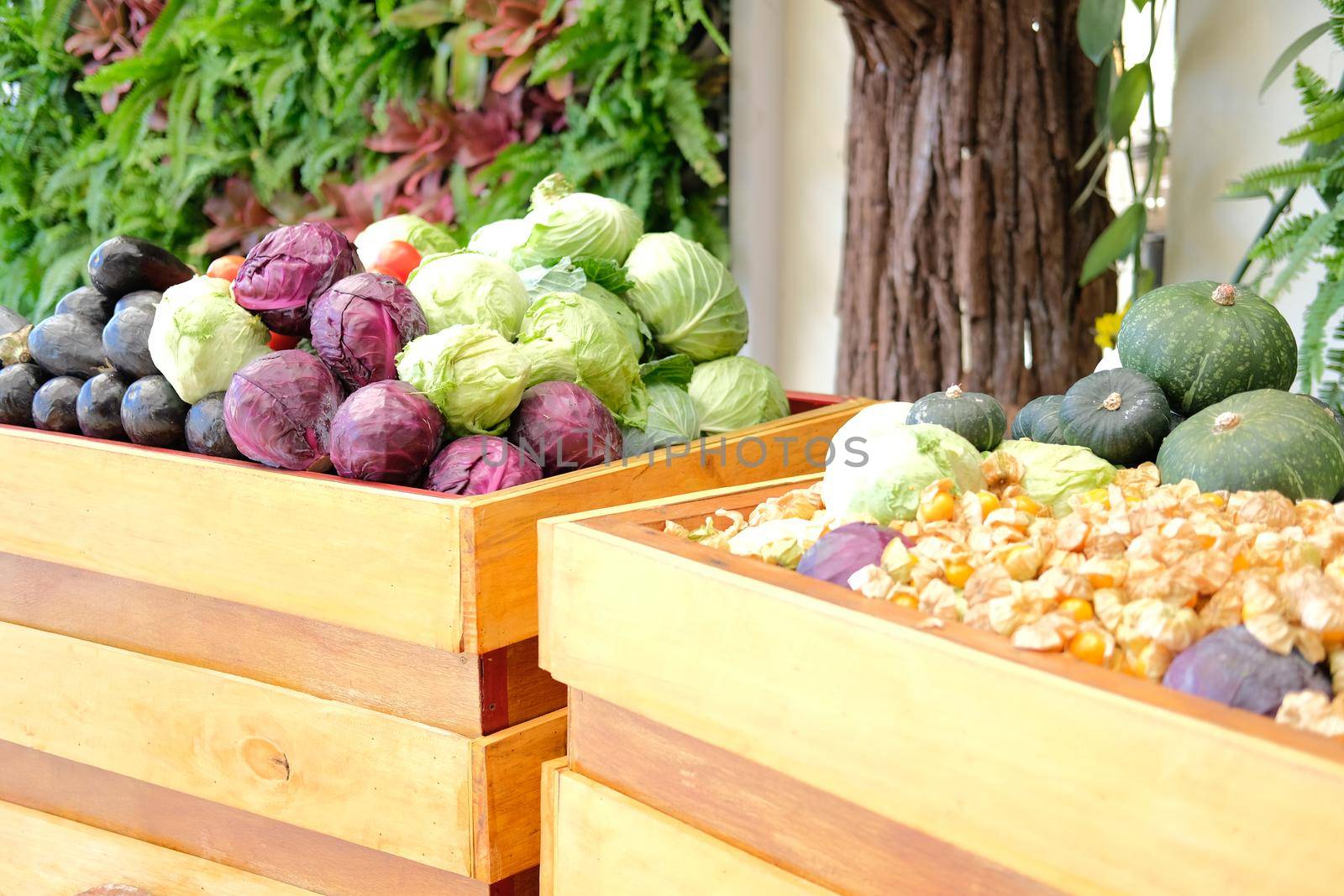 fruit vegetables in wooden cart wagon harvesting from farm