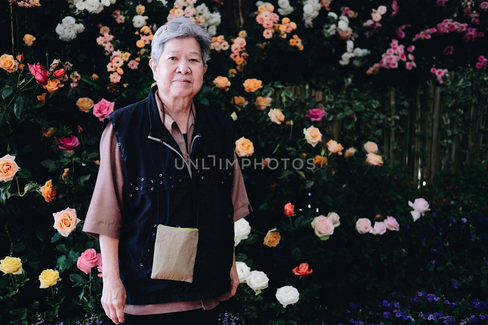 asian old elderly female elder woman resting relaxing in garden. senior leisure lifestyle