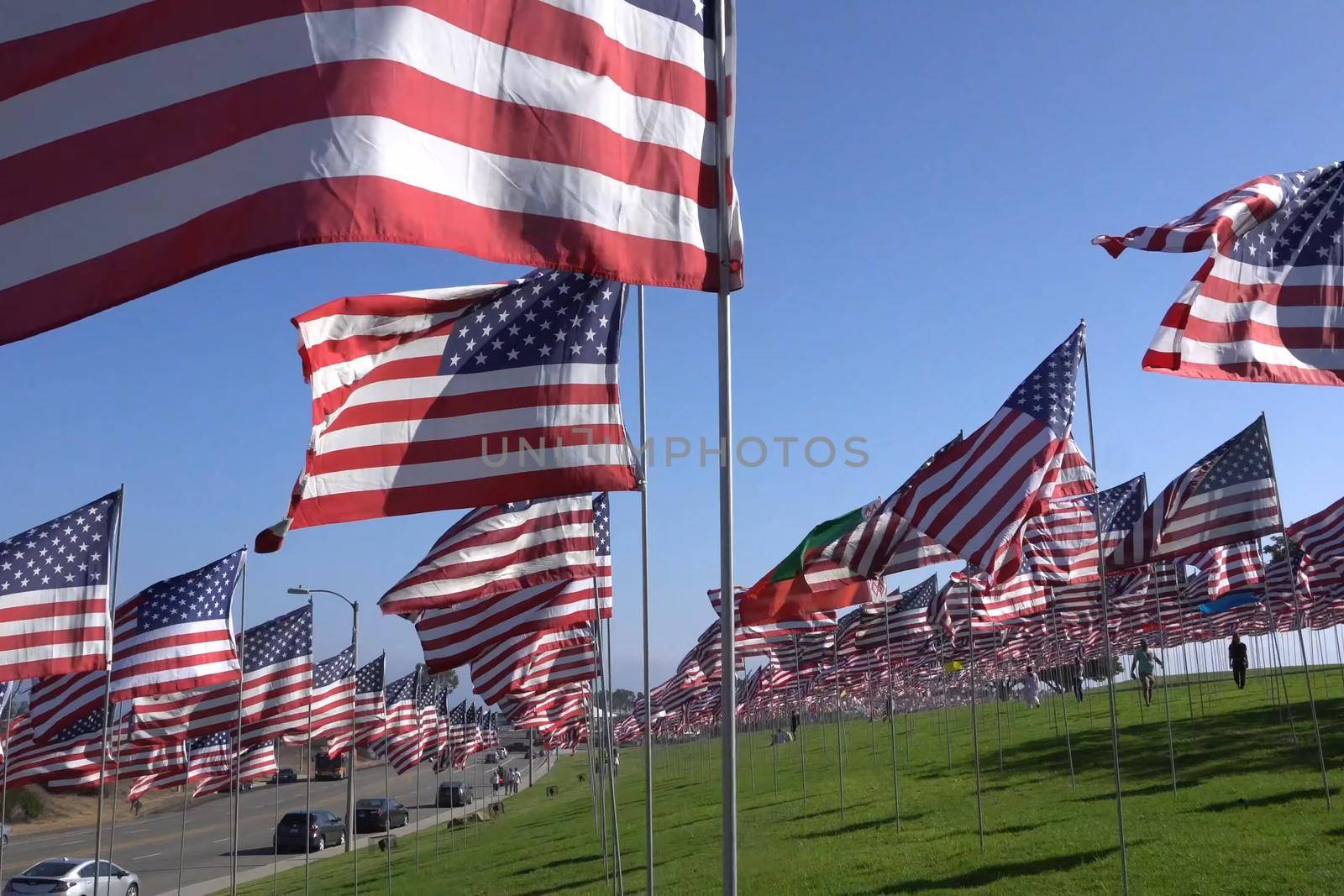 American flags on lawn. Lots of American flags. by DePo