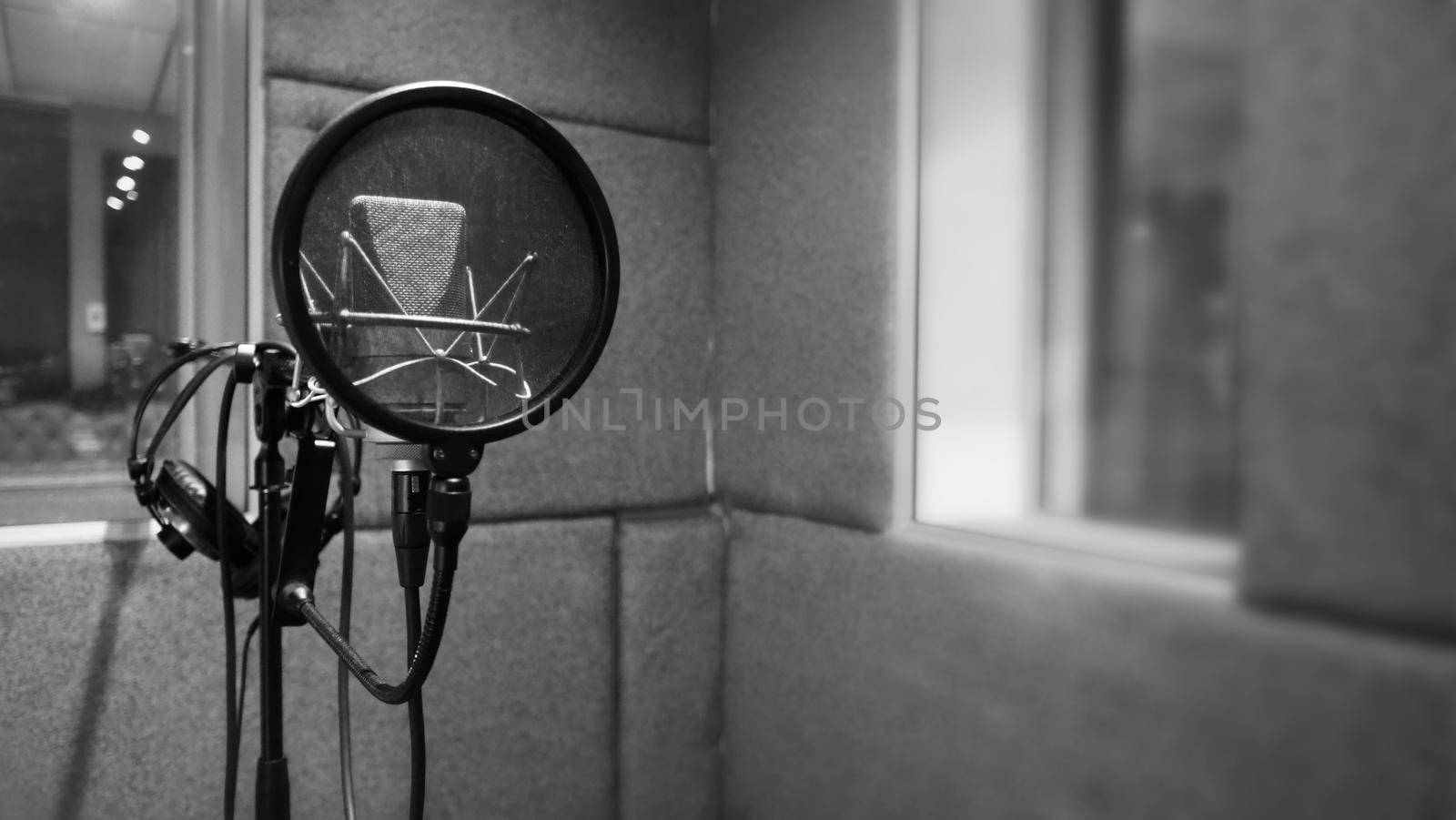 Studio microphone with shock mount and pop filter on tripod stand  by gnepphoto