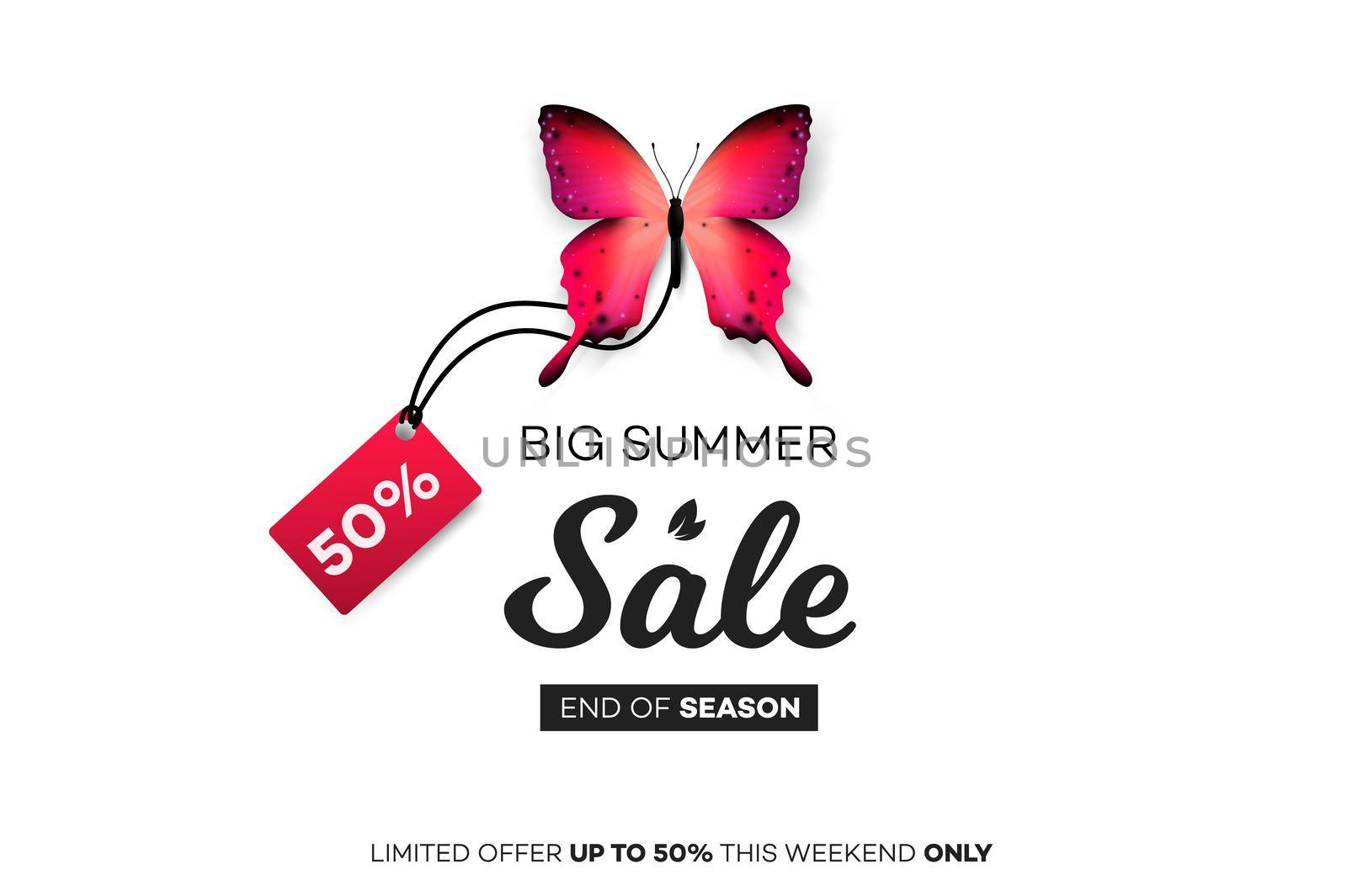 Final Summer Sale. Red Butterfly With Sale Tag On White Background. Modern Conceptual Vector Illustration.