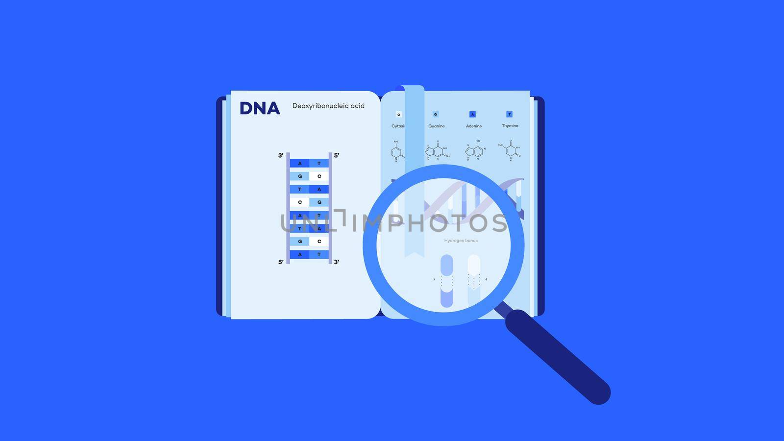 E-learning Conceptual Vector Illustration. Open Book With Infographic DNA structure And Magnifier On Blue Background.