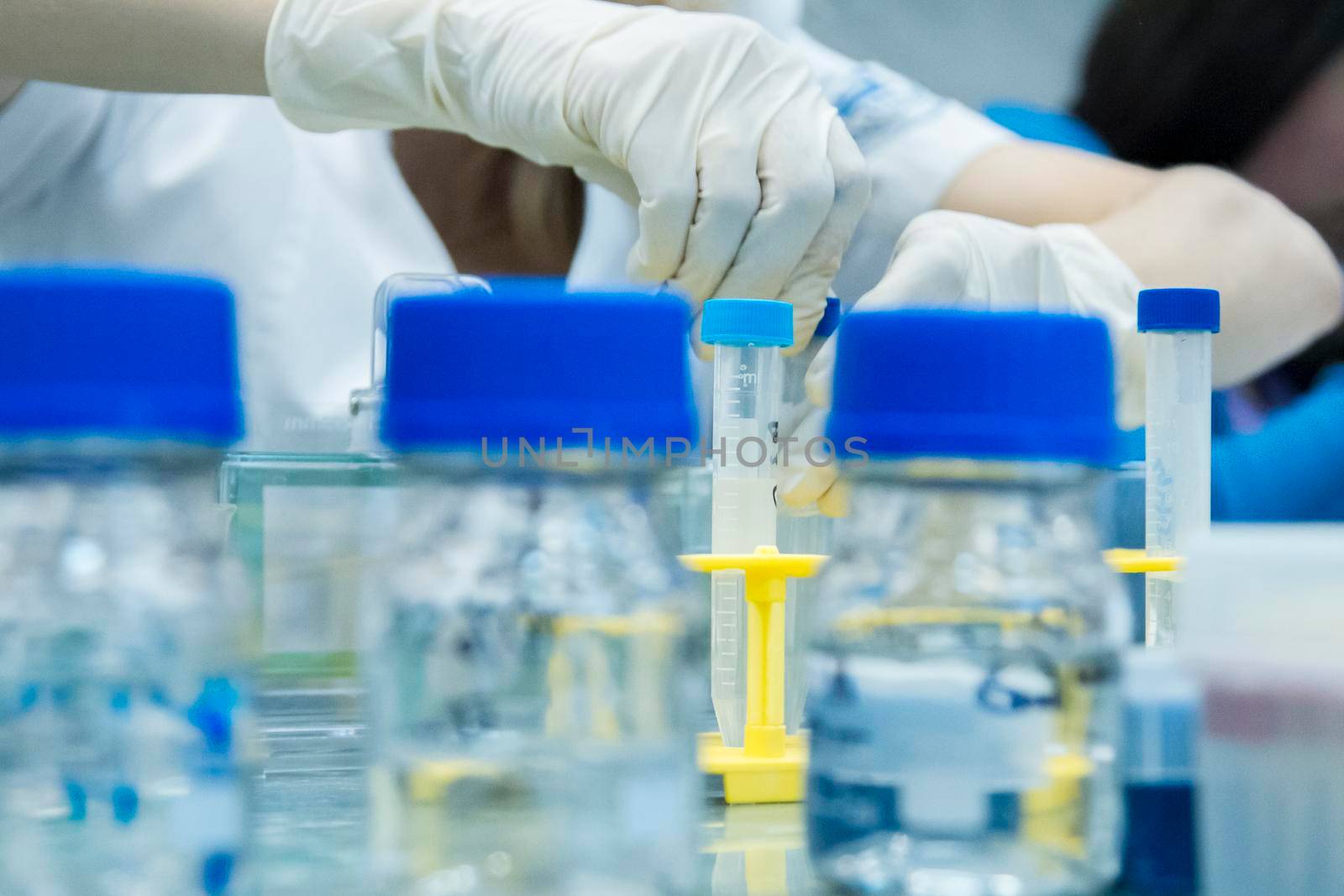 Laboratory utensils. In the scientific laboratory. Preparation for the experiment.