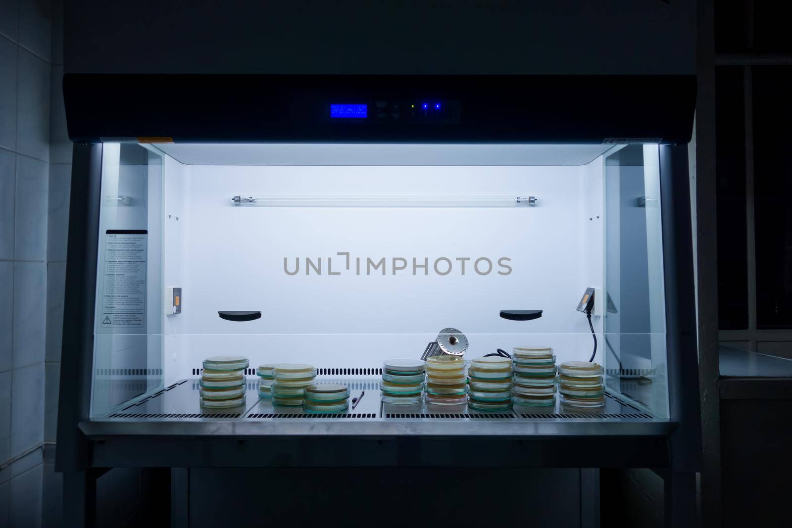 Sterile microbiological cabinet with Petri dishes inside. Microbiological safety cabinets. Large-scale experiment in microbiology.