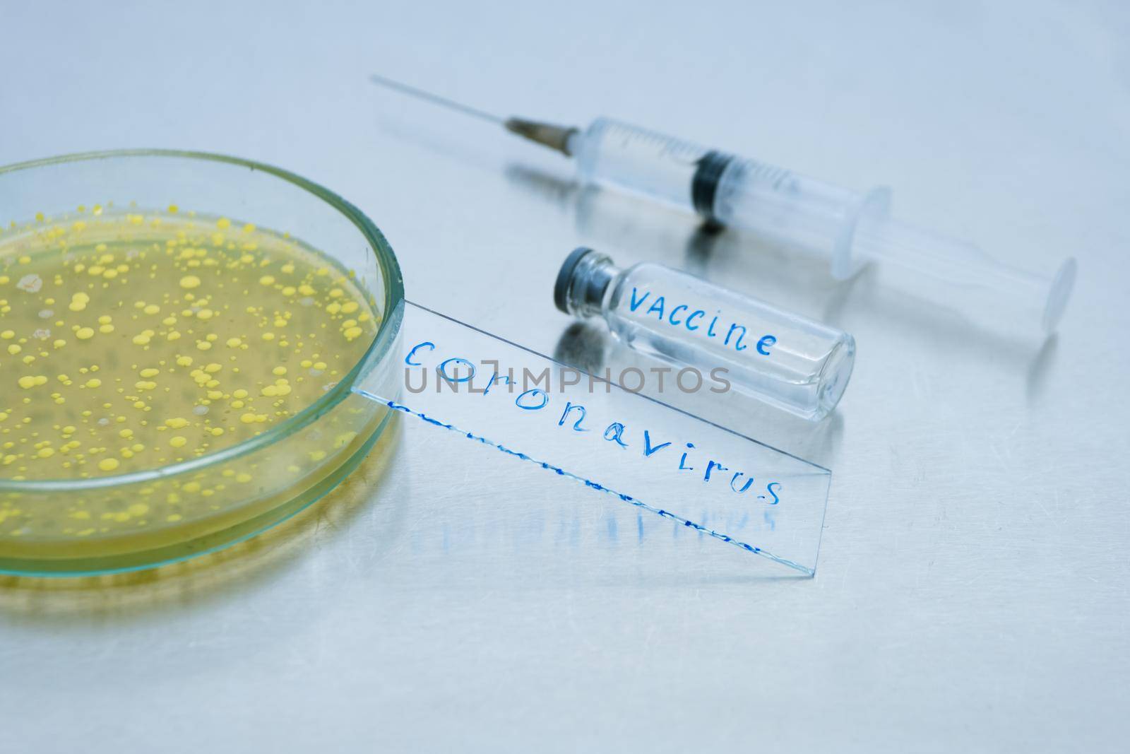 On a metal table is a Petri dish with yellow bacteria, on it a glass slide, a bottle with a vaccine and a syringe. Using bacteria to develop a coronavirus vaccine.