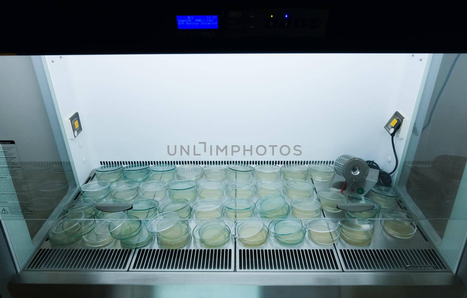 Finished petri dishes with agar in a laminar cabinet. Many Petri dishes.