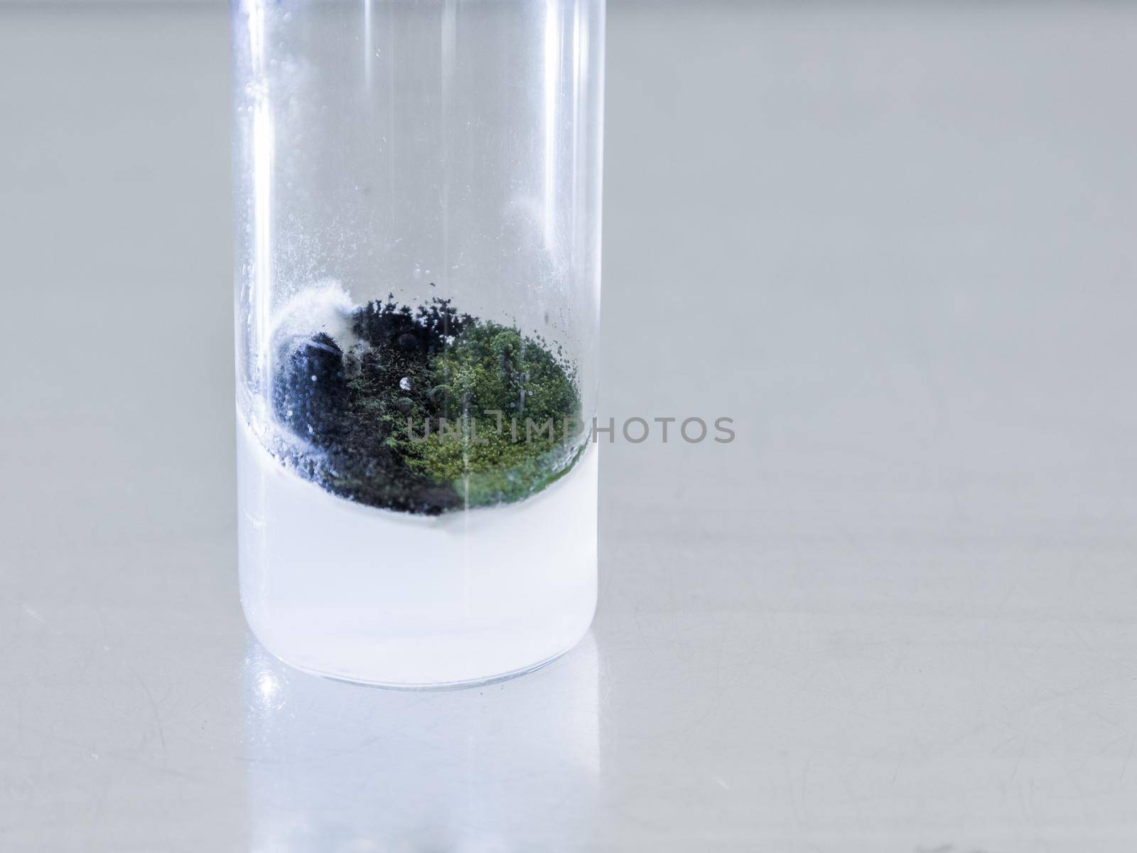 Test tube mold on a metal background. by Jannetta