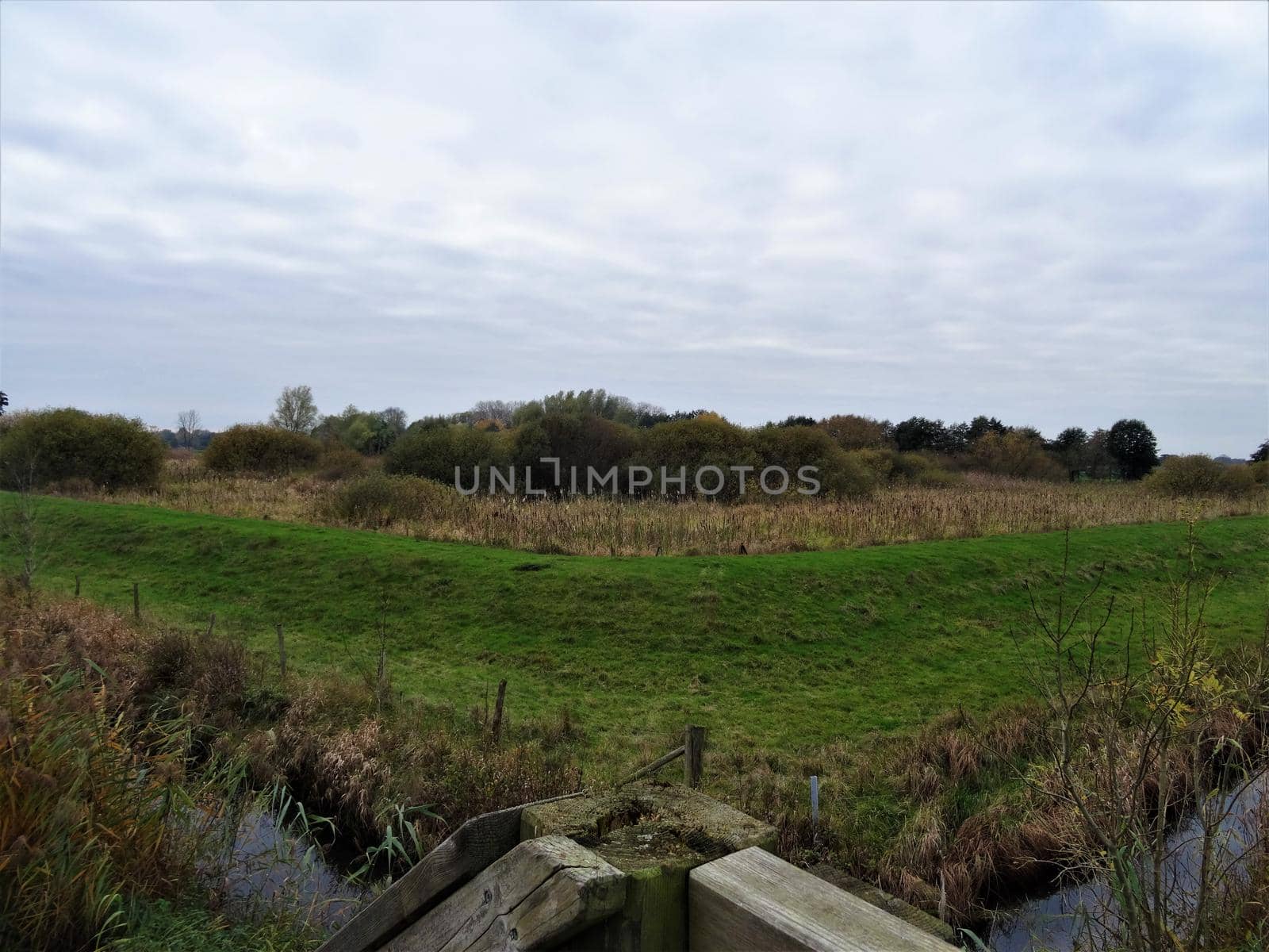 a moat in the nature reserve