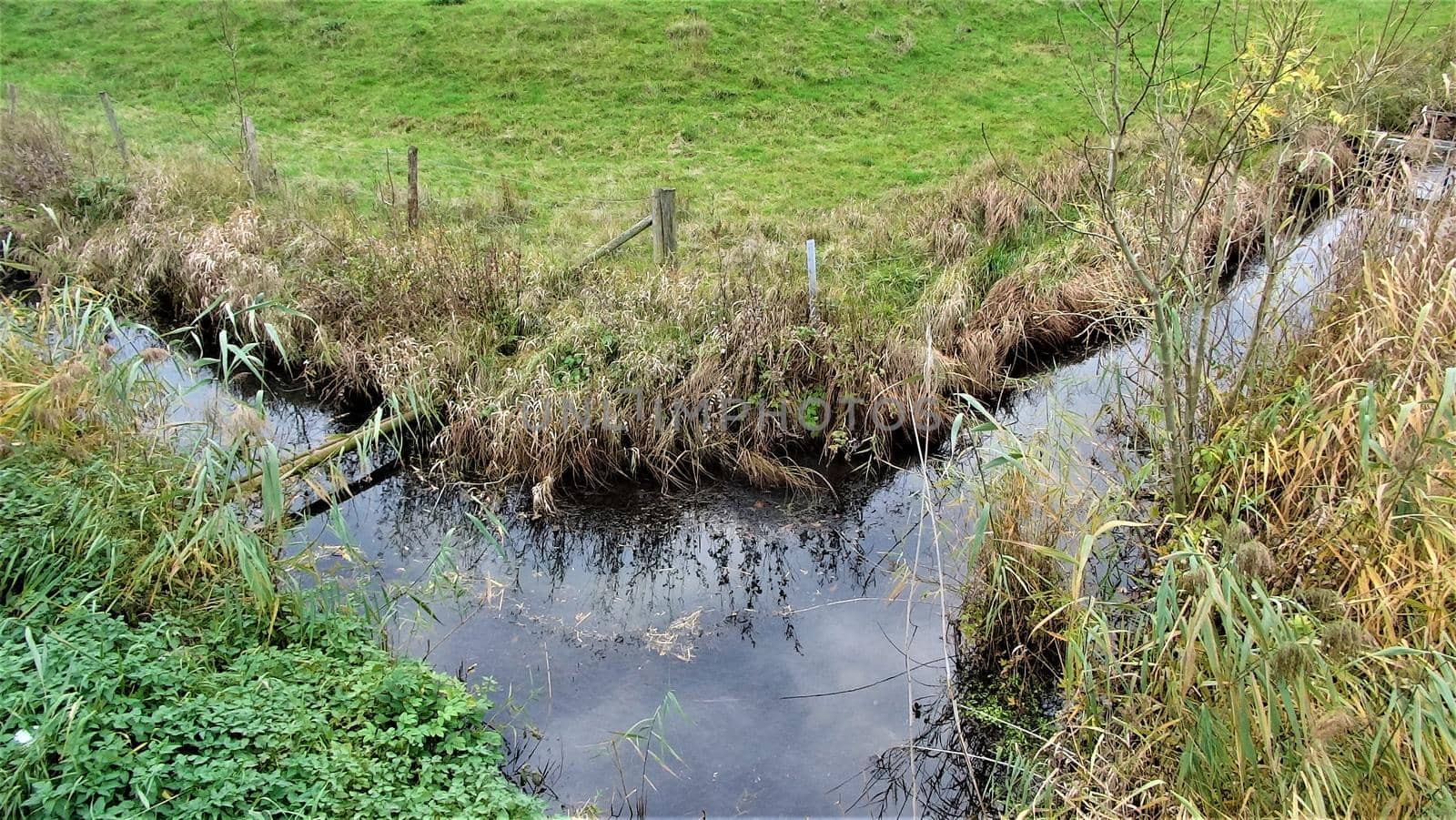 a moat in the nature reserve