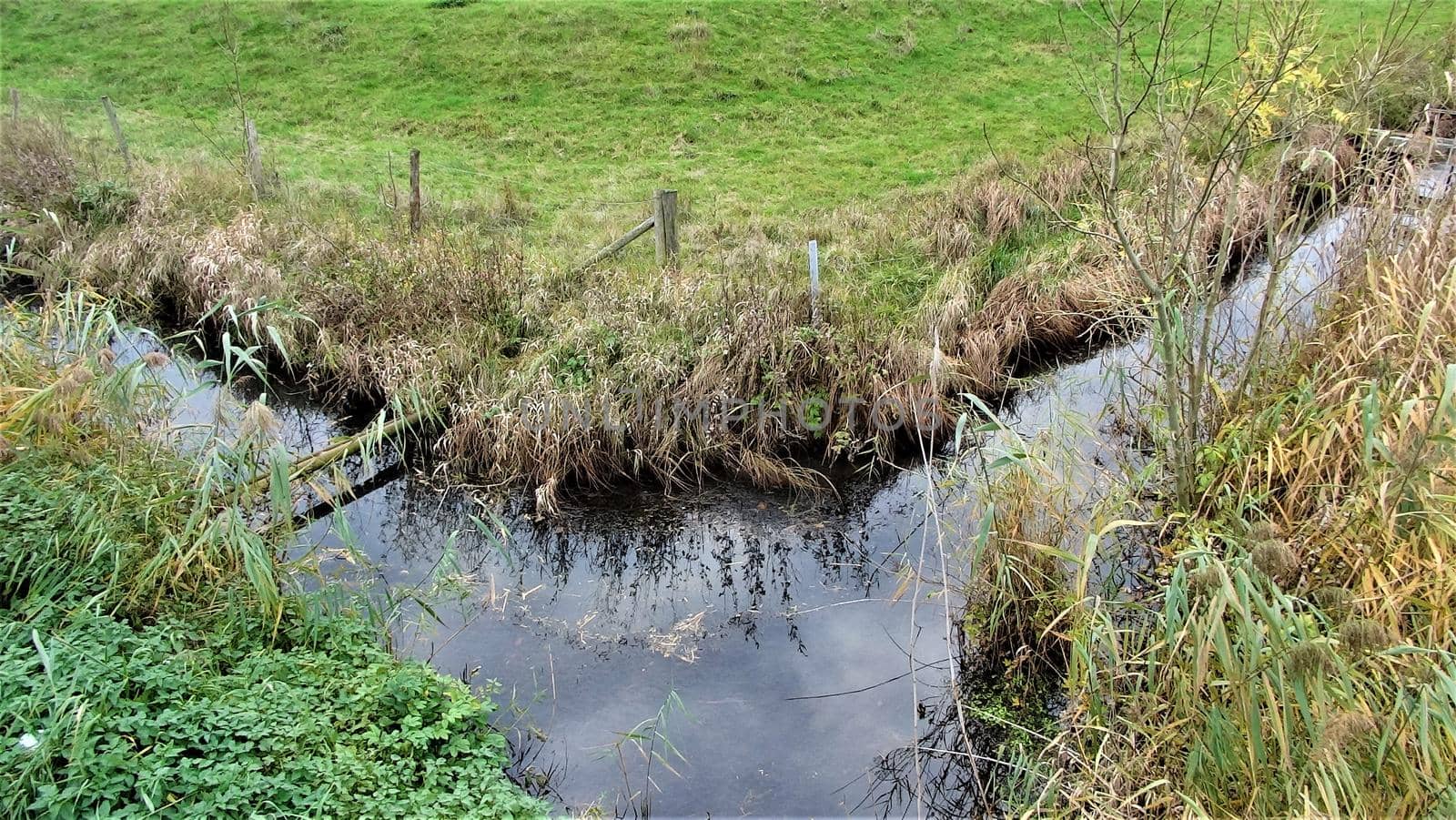 a moat in the nature reserve