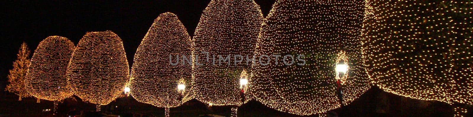 Numerous Christmas Lights