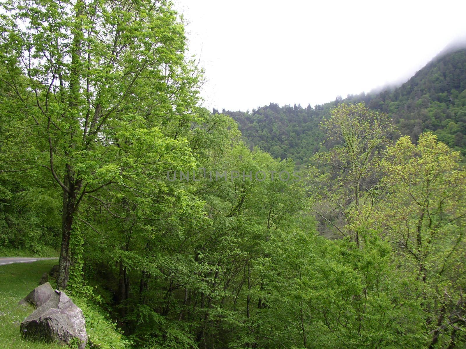 The western side of the Great Smoky Mountains National Park in Tennessee
