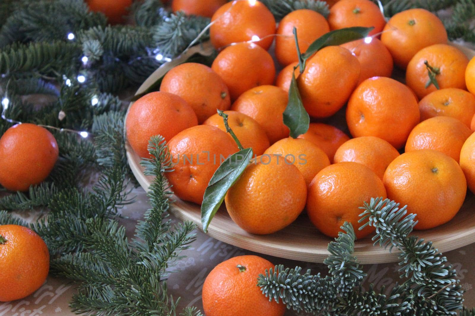 Tangerines on a plate are decorated with fir branches and a Christmas garland.Texture or background