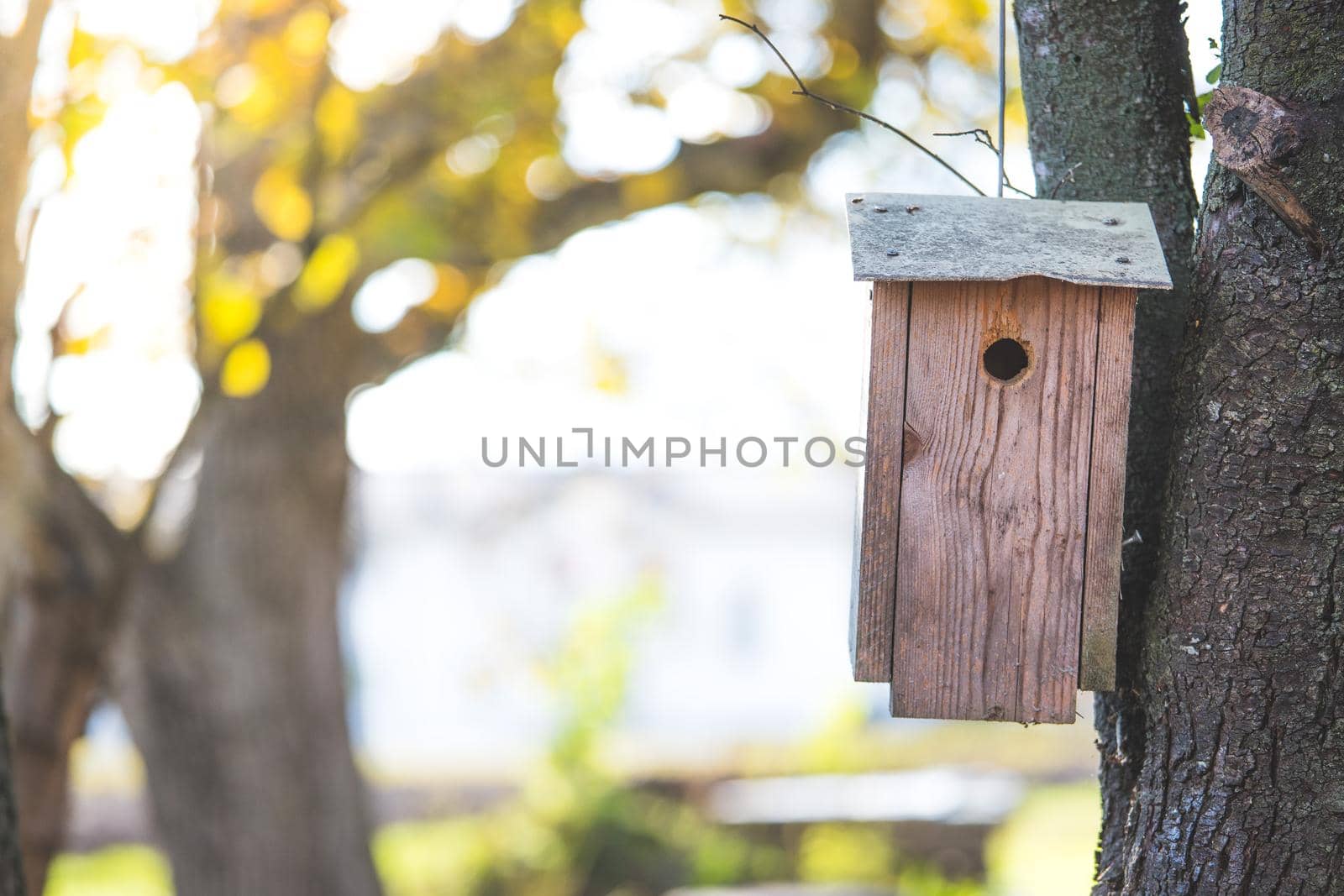 Wooden bird house on a tree, autumn time