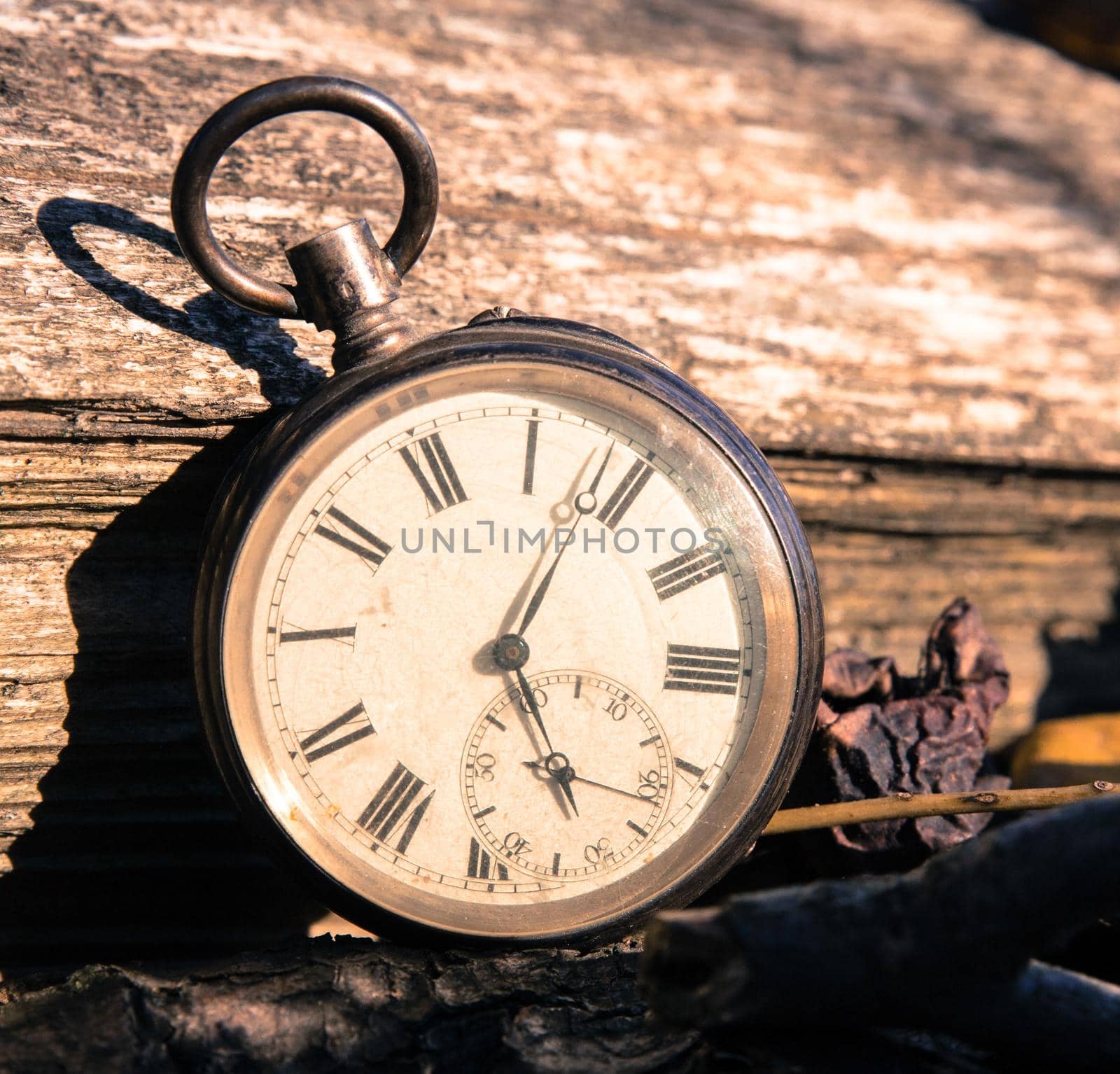 Vintage watch leans on a wood piece and dry leaves, blurriness