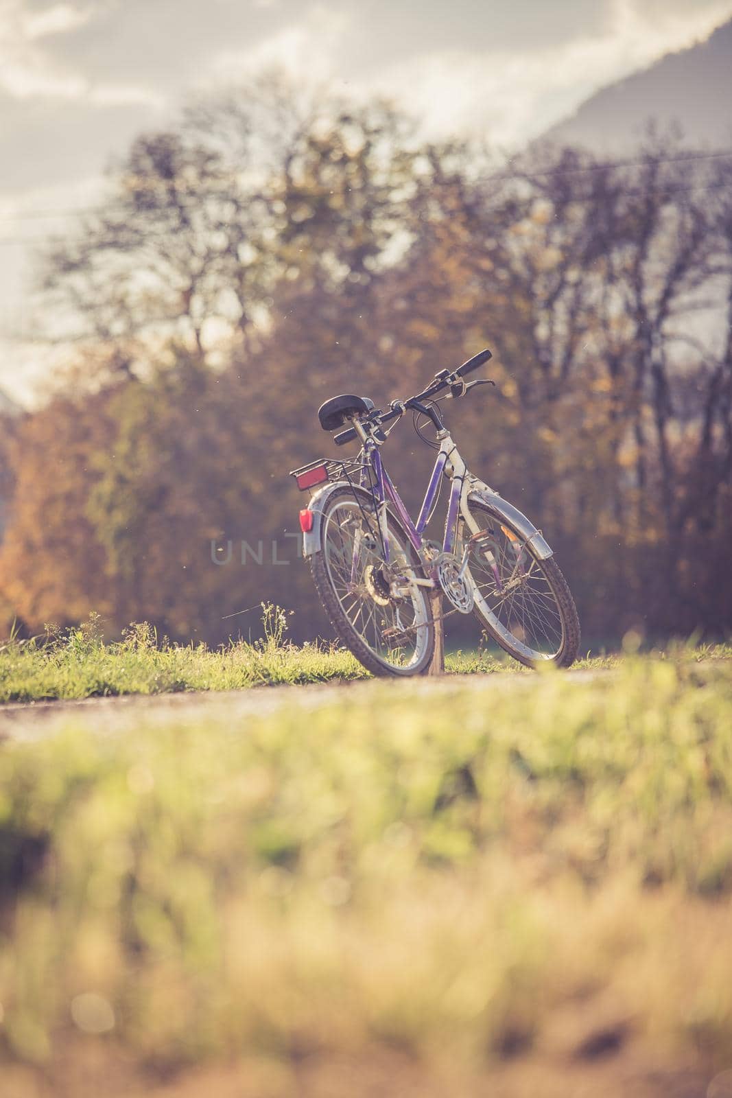 Parked bicycle on a field, autumn time