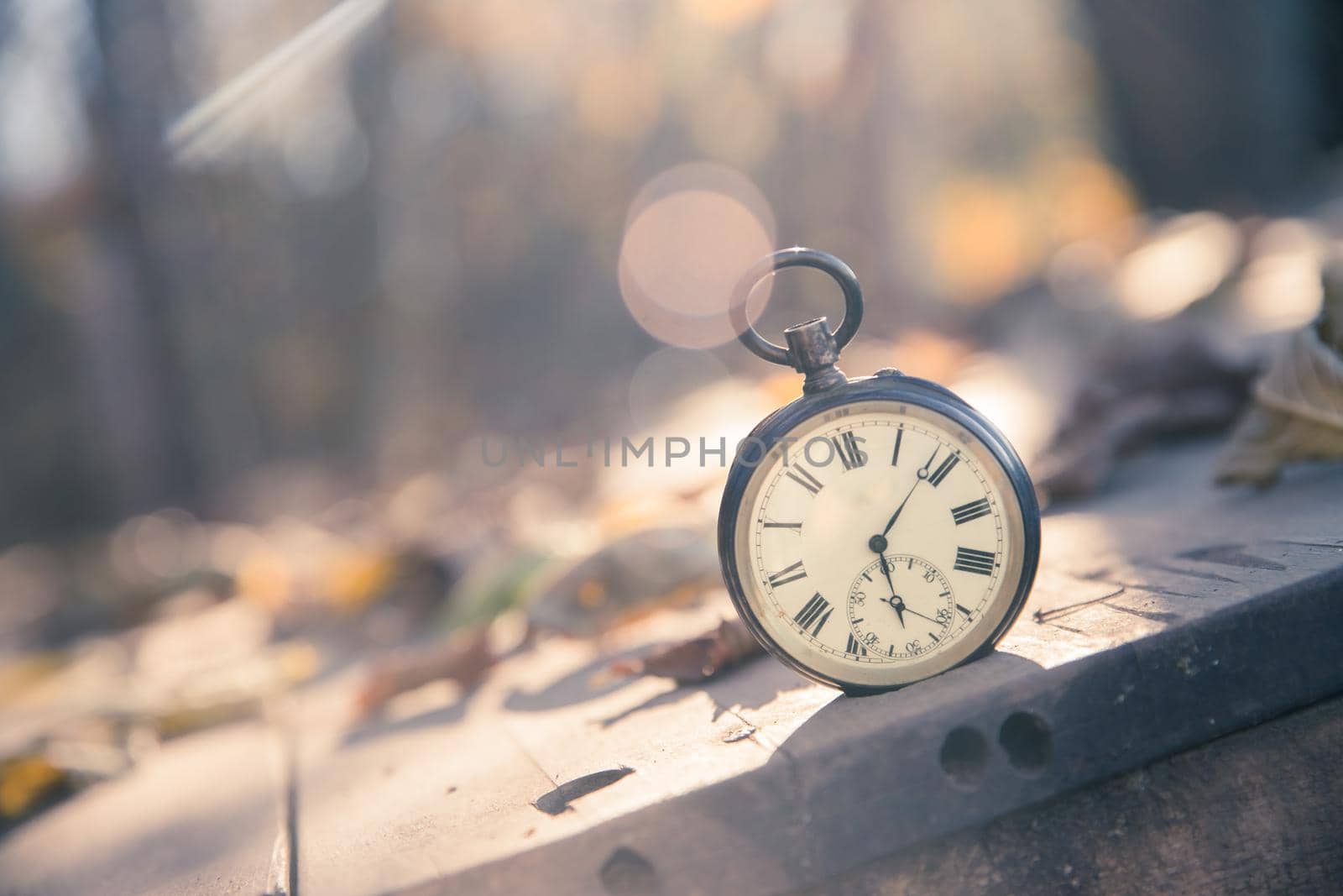 Vintage pocket watch on a wood board, colourful leaves, autumn
