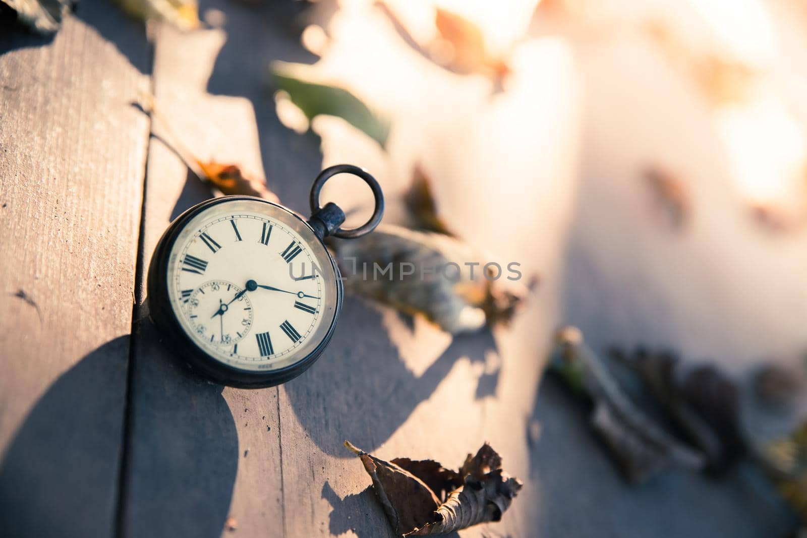 Vintage pocket watch on a wood board, colourful leaves, autumn, sunshine