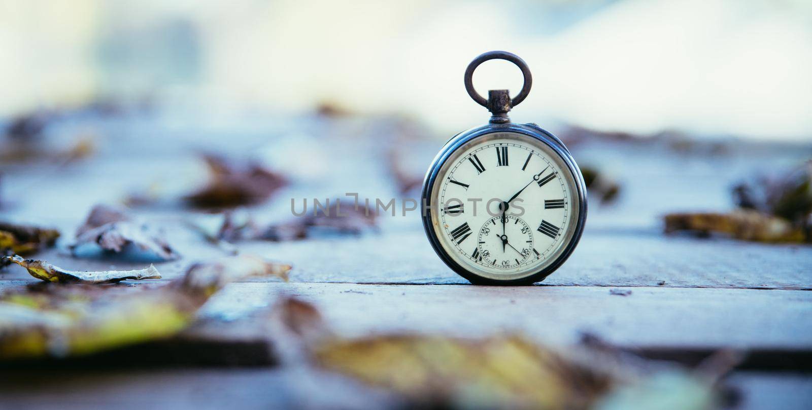 Vintage pocket watch on a wood board, colourful leaves, autumn