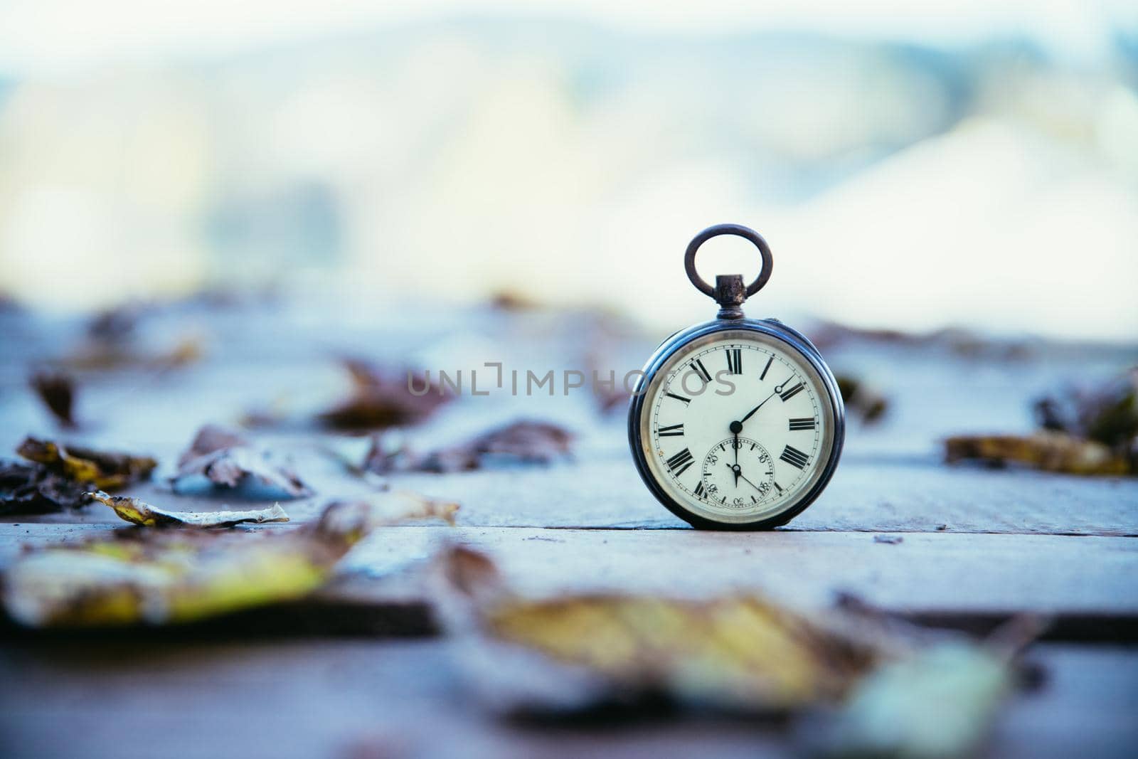 Vintage pocket watch on a wood board, colourful leaves, autumn