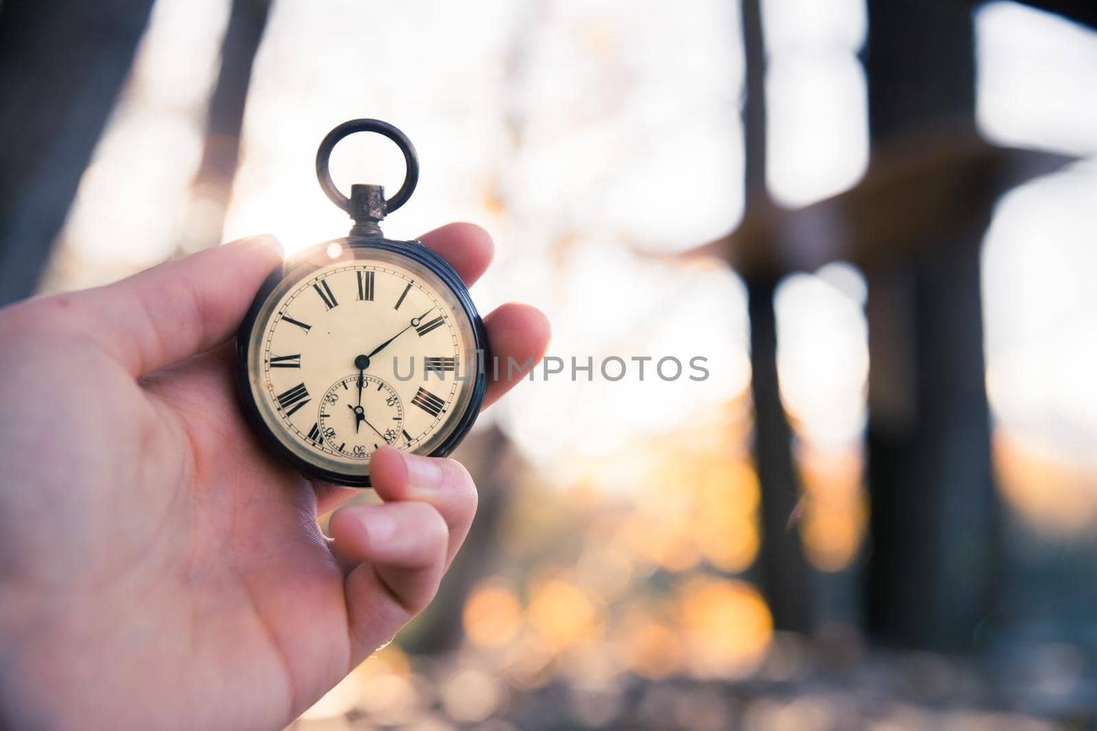 Time goes by: vintage watch outdoors, hand-held; wood and leaves; by Daxenbichler