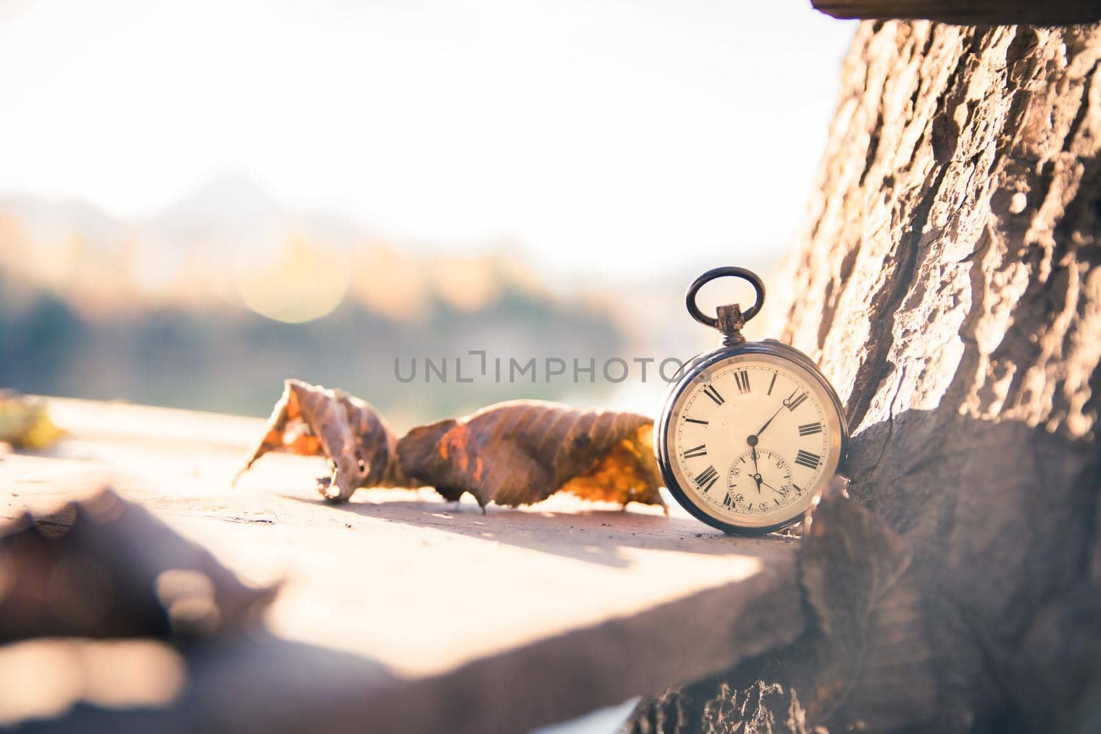 Vintage pocket watch on a wood board, colourful leaves, autumn, sunshine