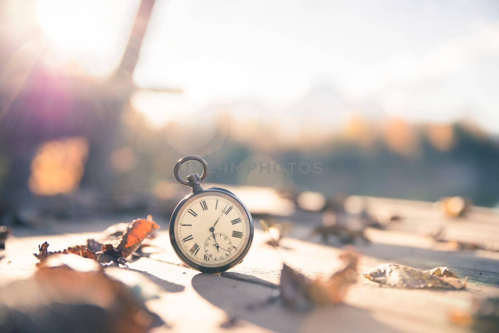 Vintage pocket watch on a wood board, colourful leaves, autumn, sunshine