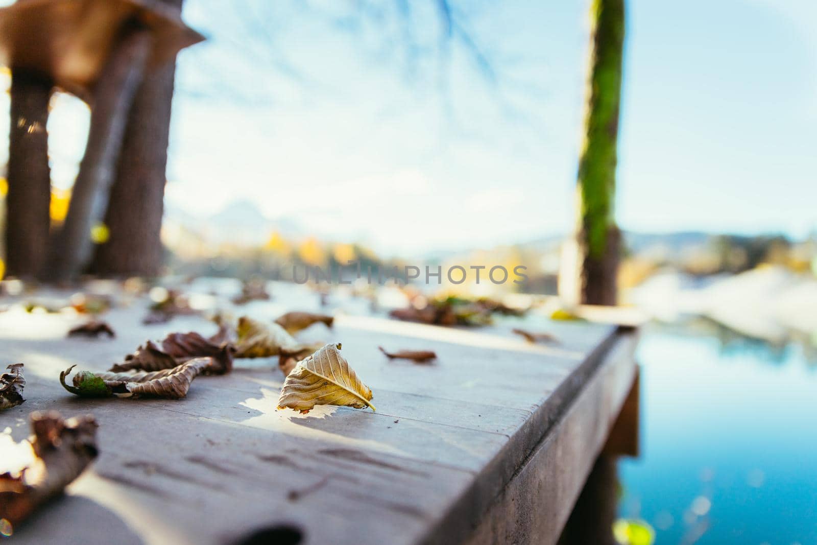 Colourful leaves lying on a footbridge, blurry autumn scenery in the background