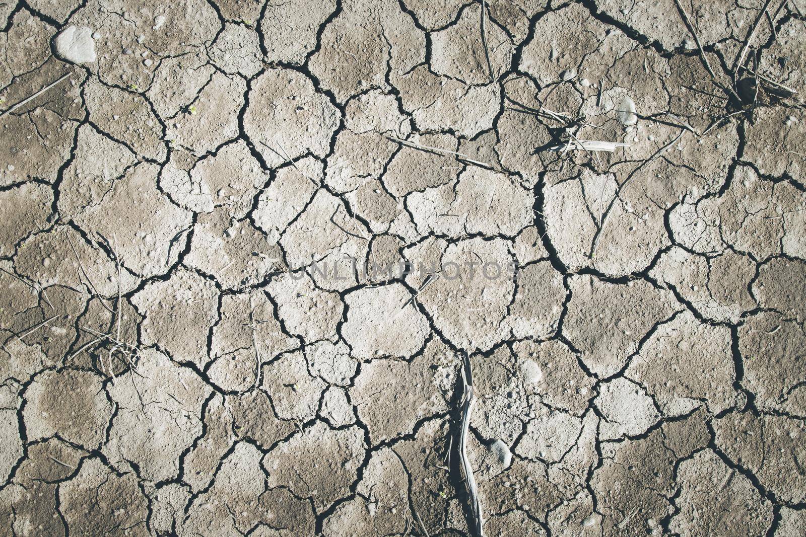 Dry cracked earth, global warming by Daxenbichler