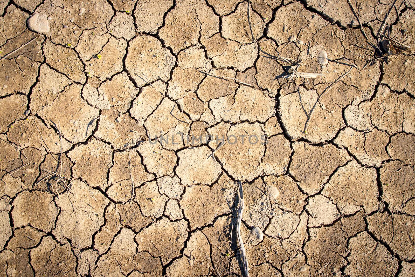 Top view of cracked earth, concept for global warming