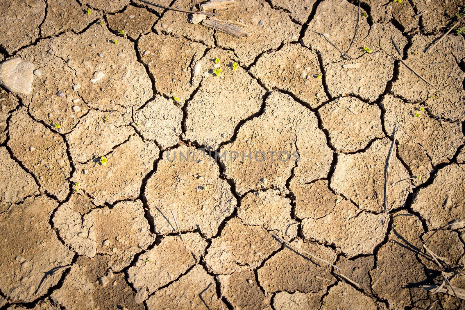 Dry cracked earth, global warming by Daxenbichler