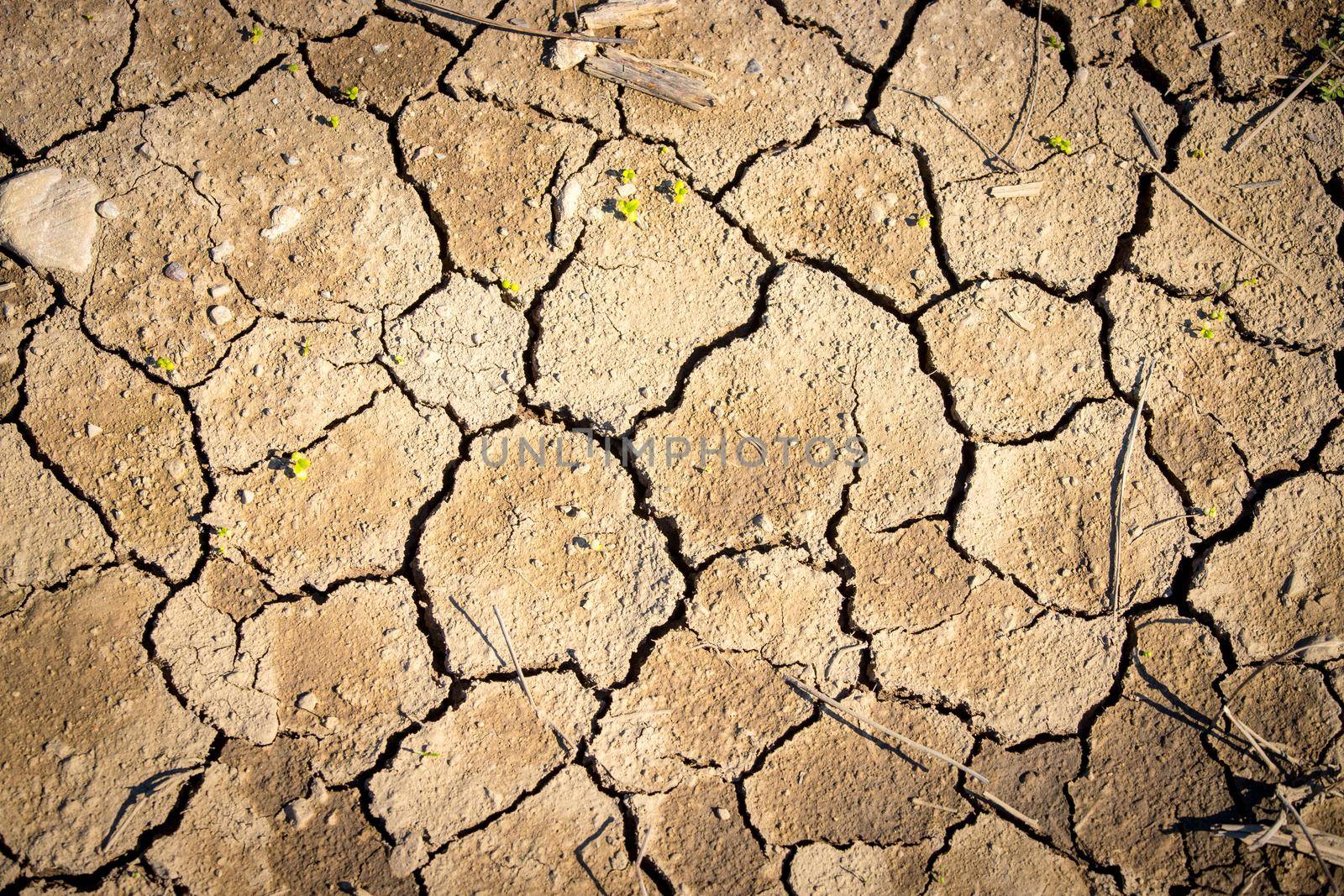 Top view of cracked earth, concept for global warming