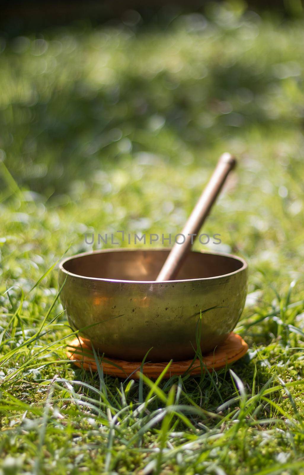 Metal singing bowl in the grass of the own garden, zen