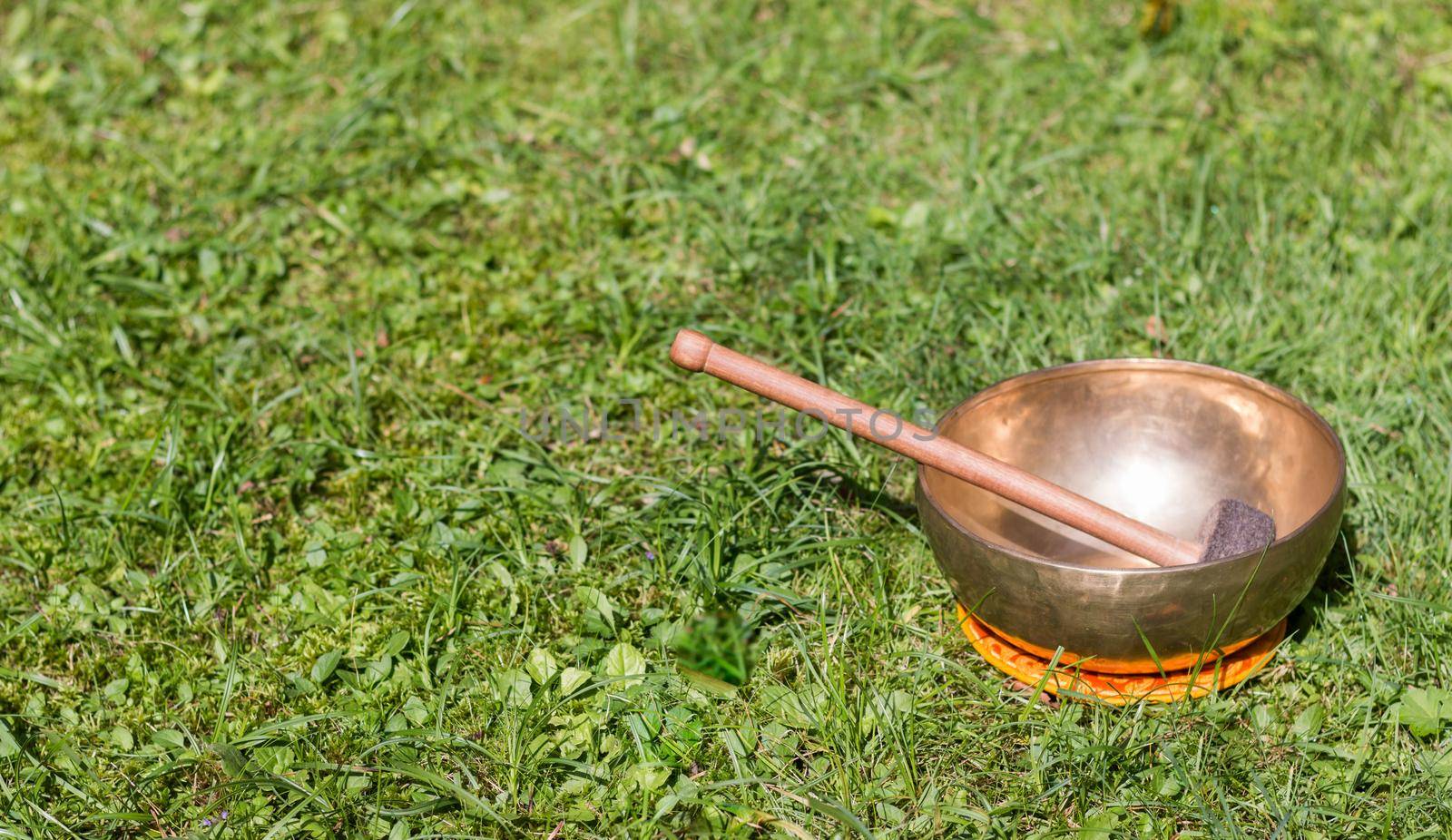 Metal singing bowls in the grass of the own garden, zen