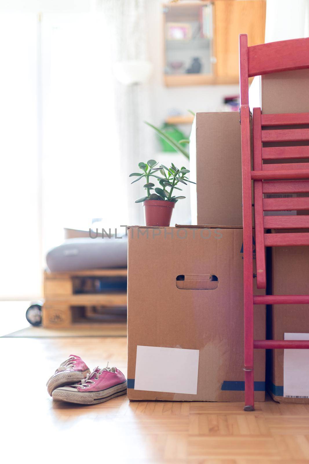 Move. Cardboard boxes, cleaning things and stuff for moving into a new, clean and bright home by Daxenbichler