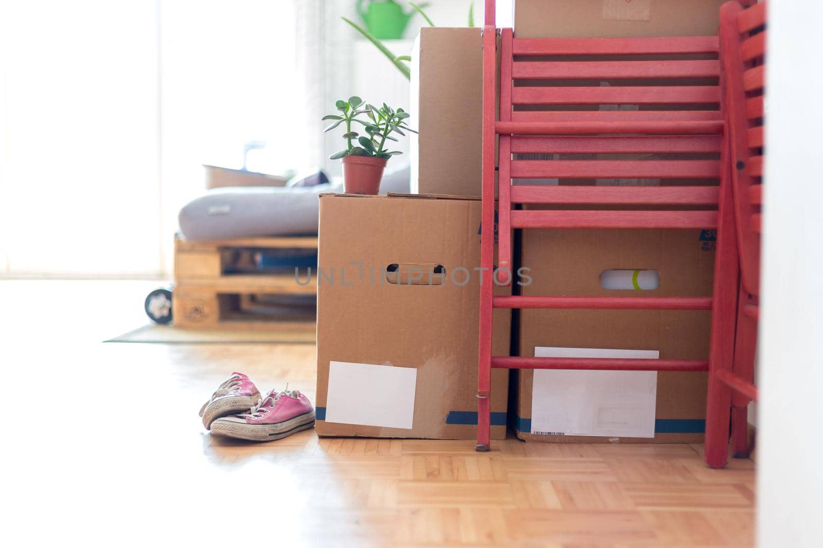 Move. Cardboard boxes, cleaning things and stuff for moving into a new, clean and bright home by Daxenbichler