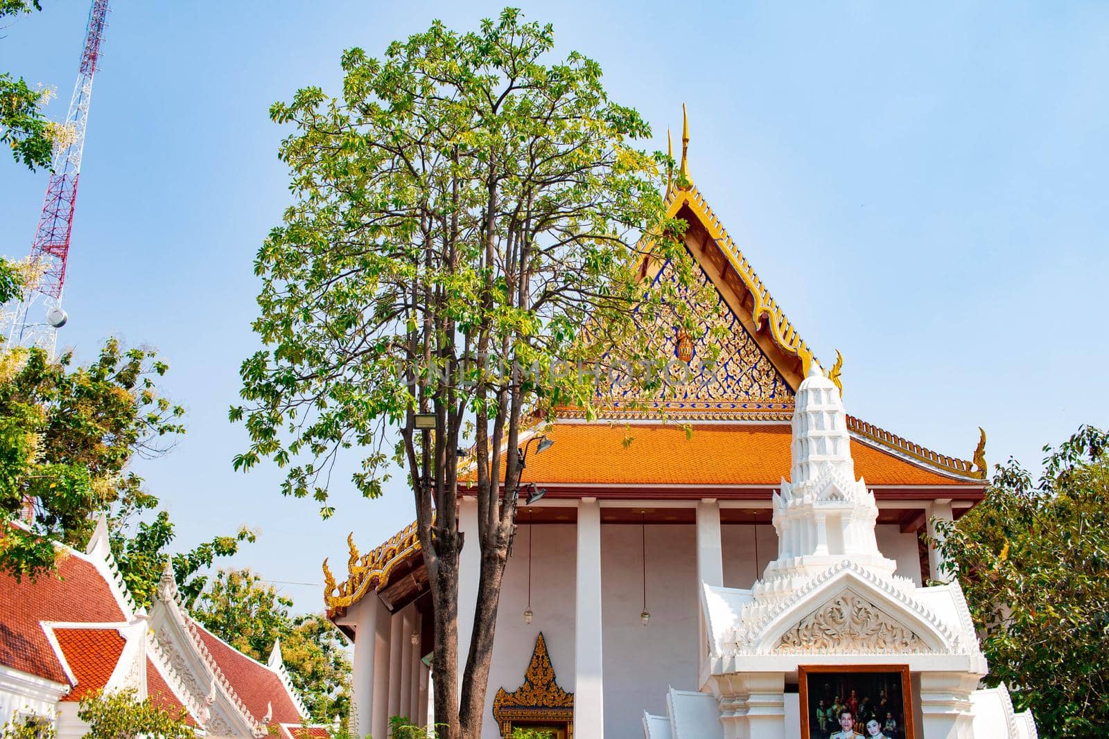 The temples in Thailand are unique in architecture and the nature that surrounds the temples.