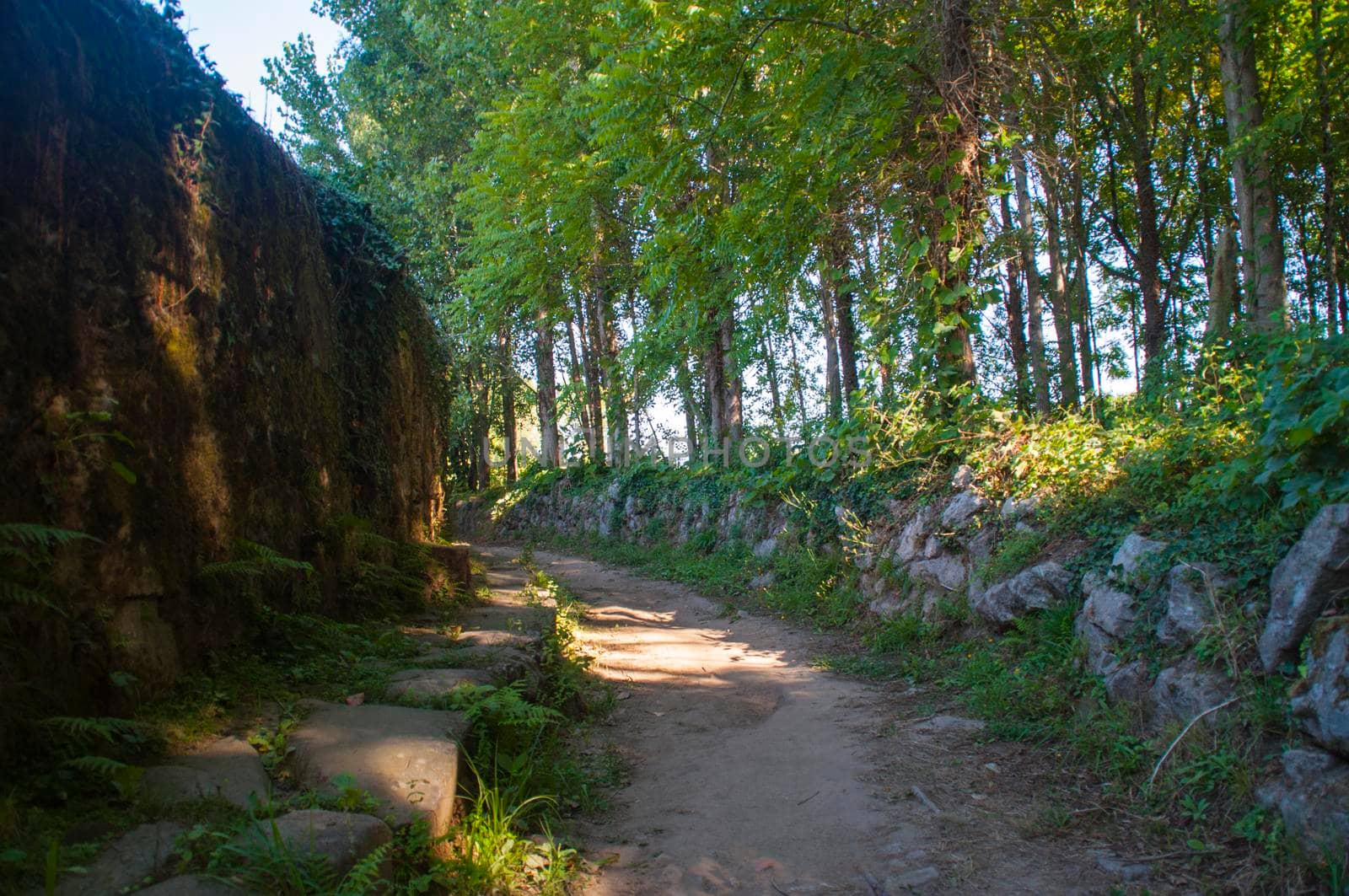 Part of the Way of St. James to Santiago de Compostela in Portugal. by Capos
