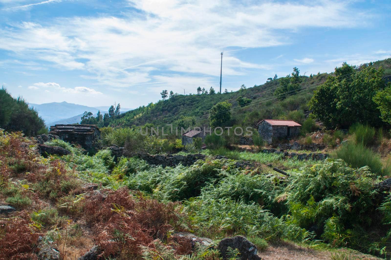 Old houses in the North of Portugal.