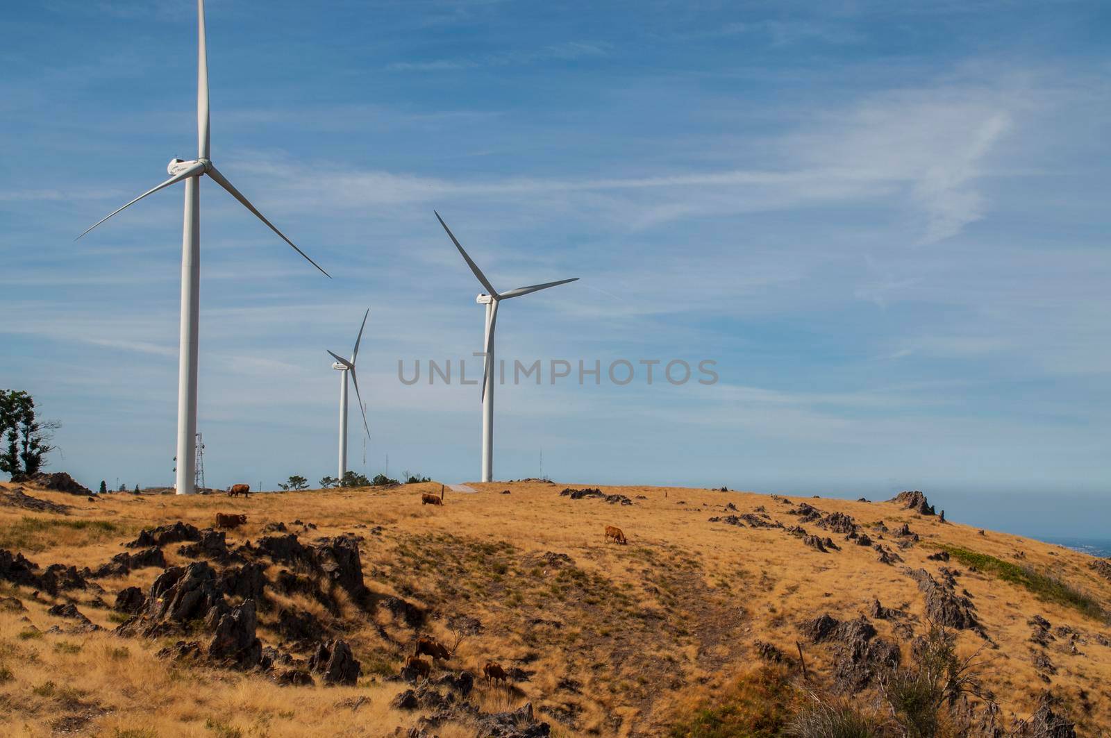 Windmills in the mountains near Arouca, Portugal.