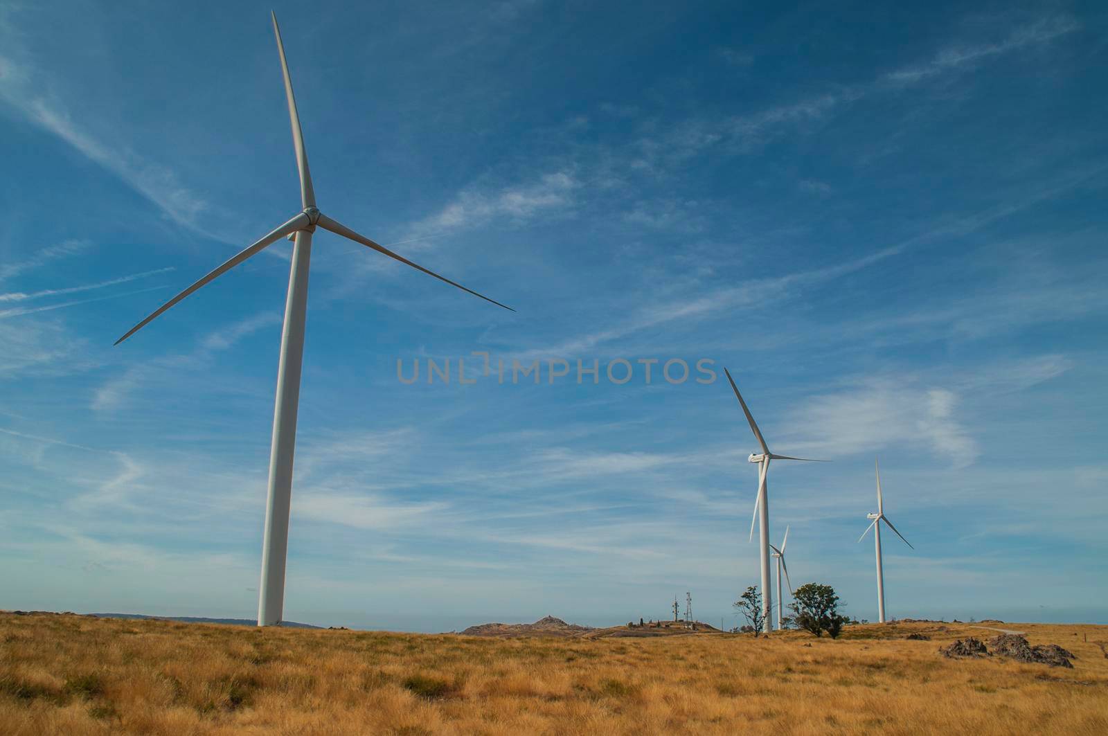 Windmills in the mountains near Arouca, Portugal. by Capos