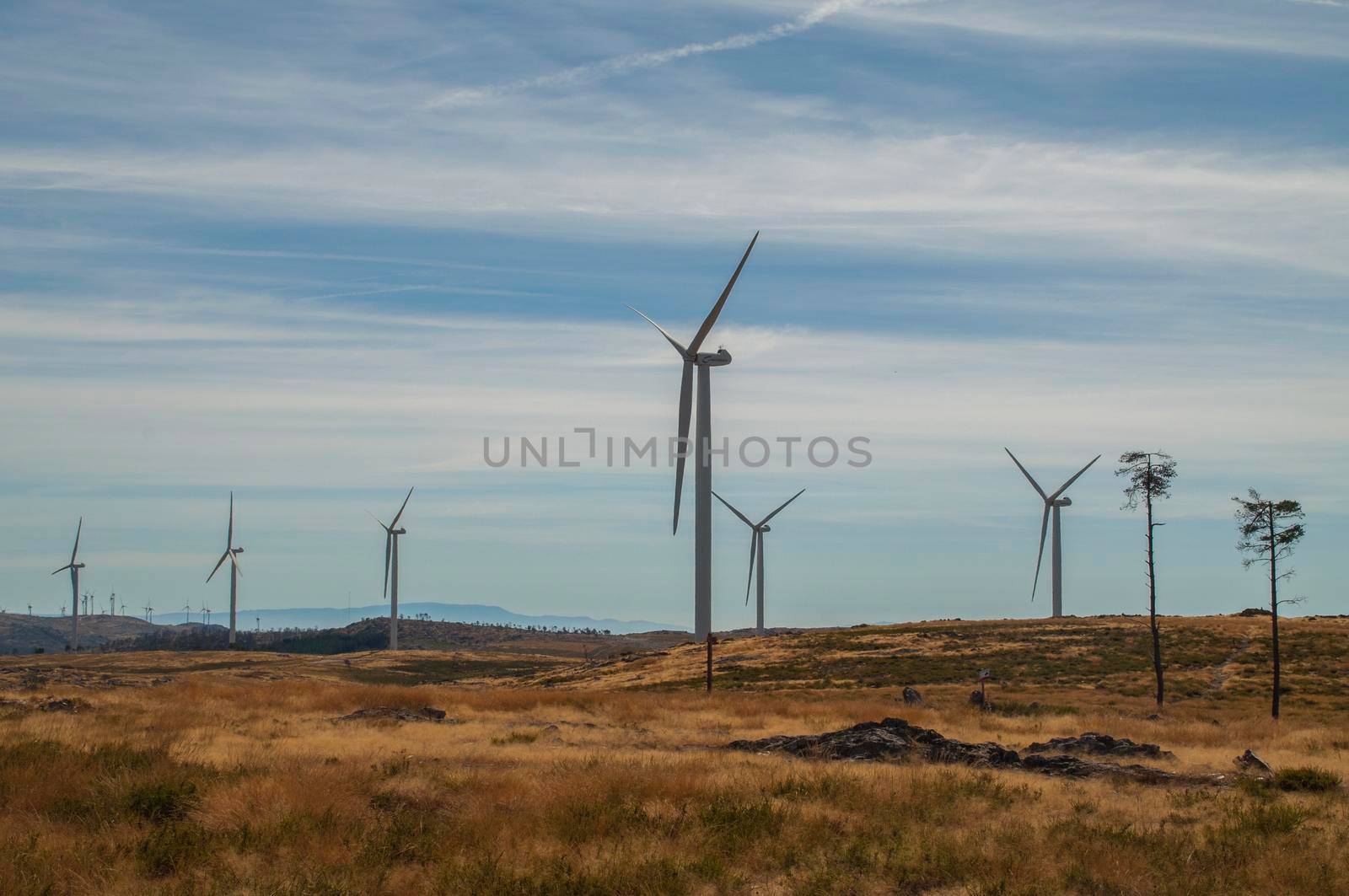 Windmills in the mountains near Arouca, Portugal. by Capos