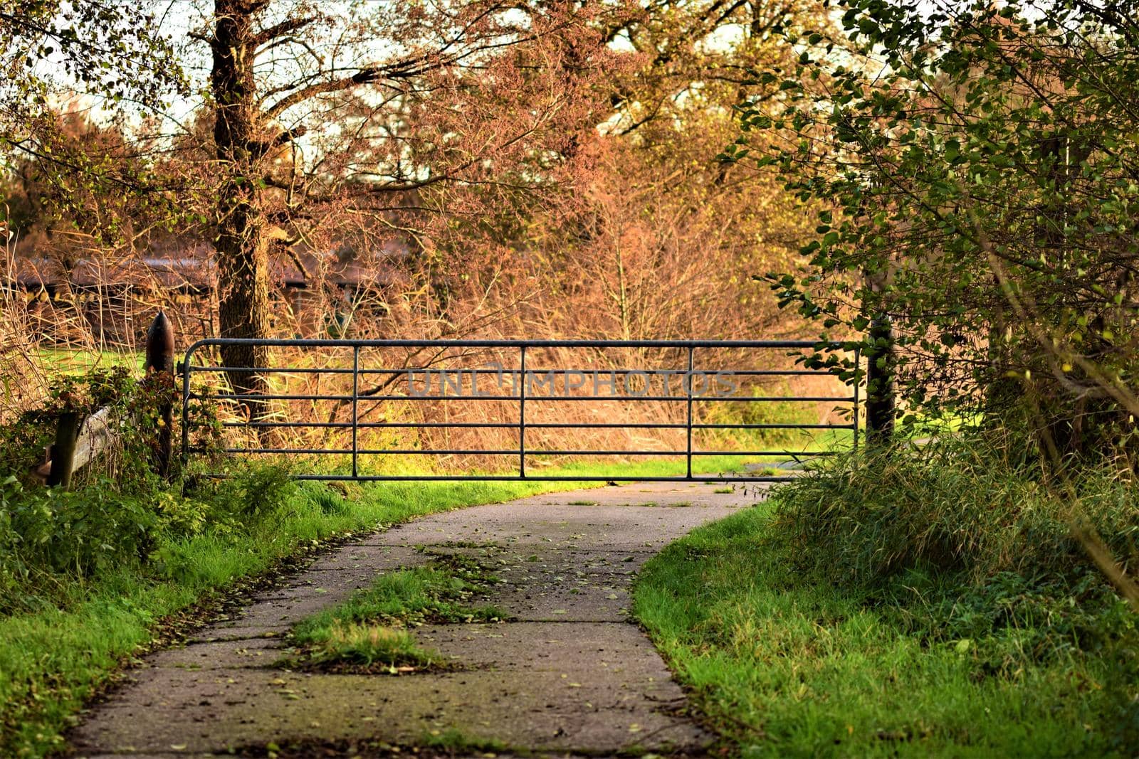 Pasture gate blocks a concrete road