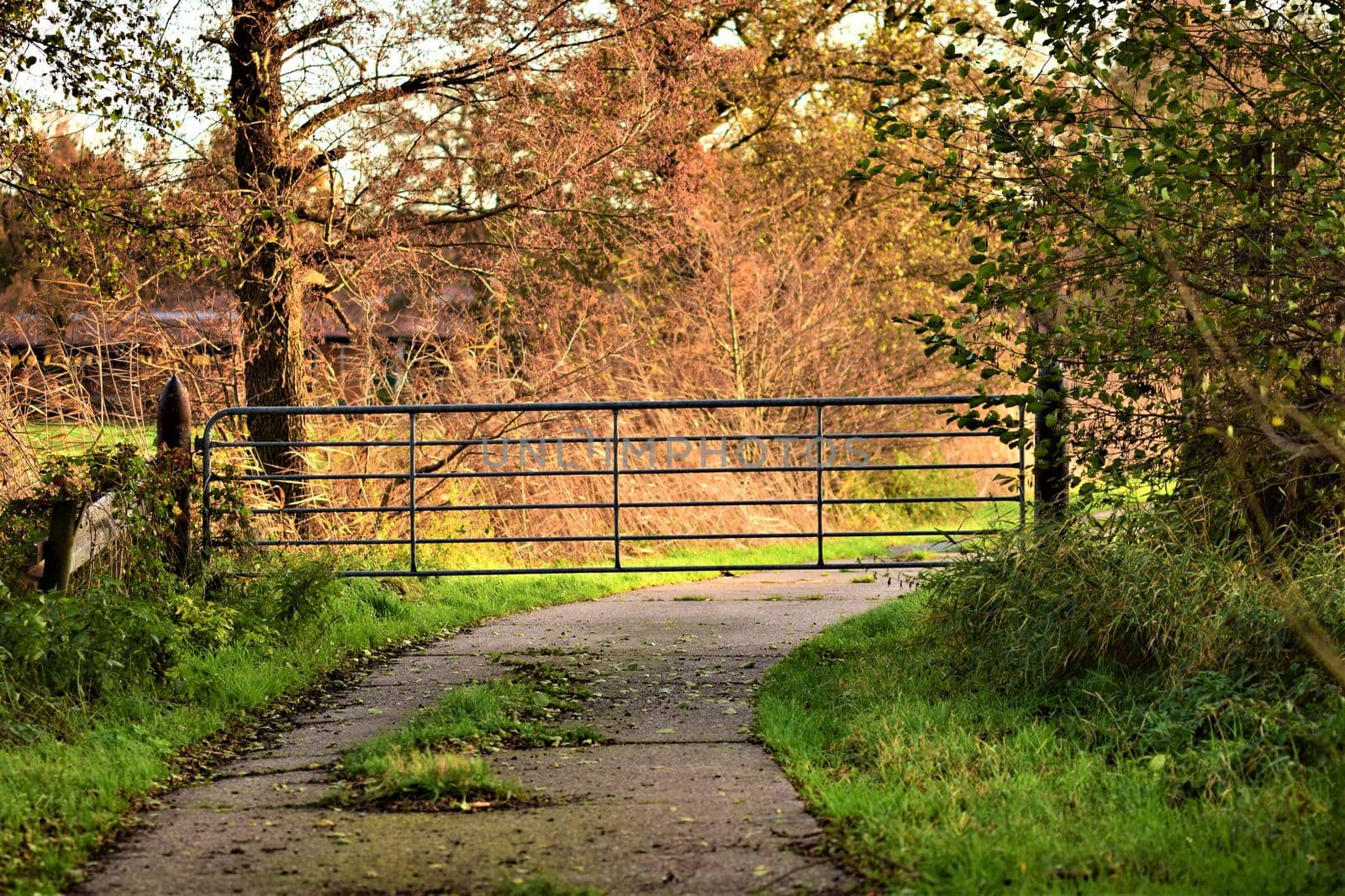 Pasture gate blocks a concrete road