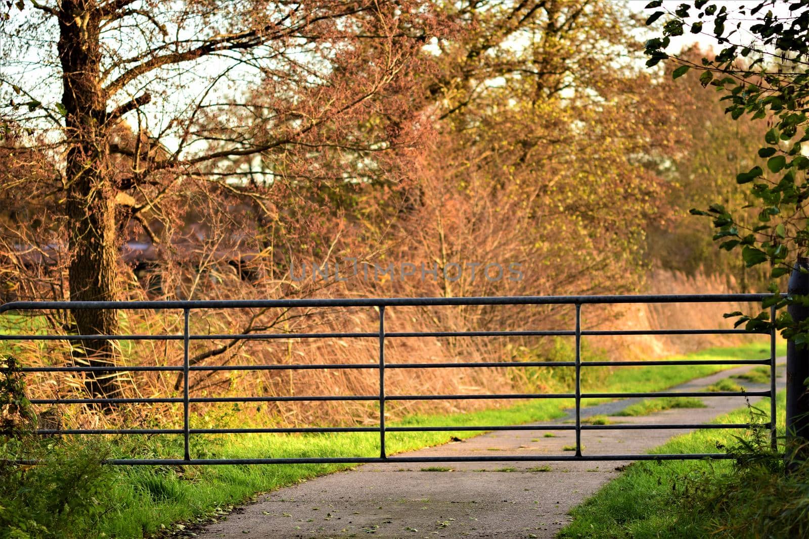 Pasture gate blocks a concrete road