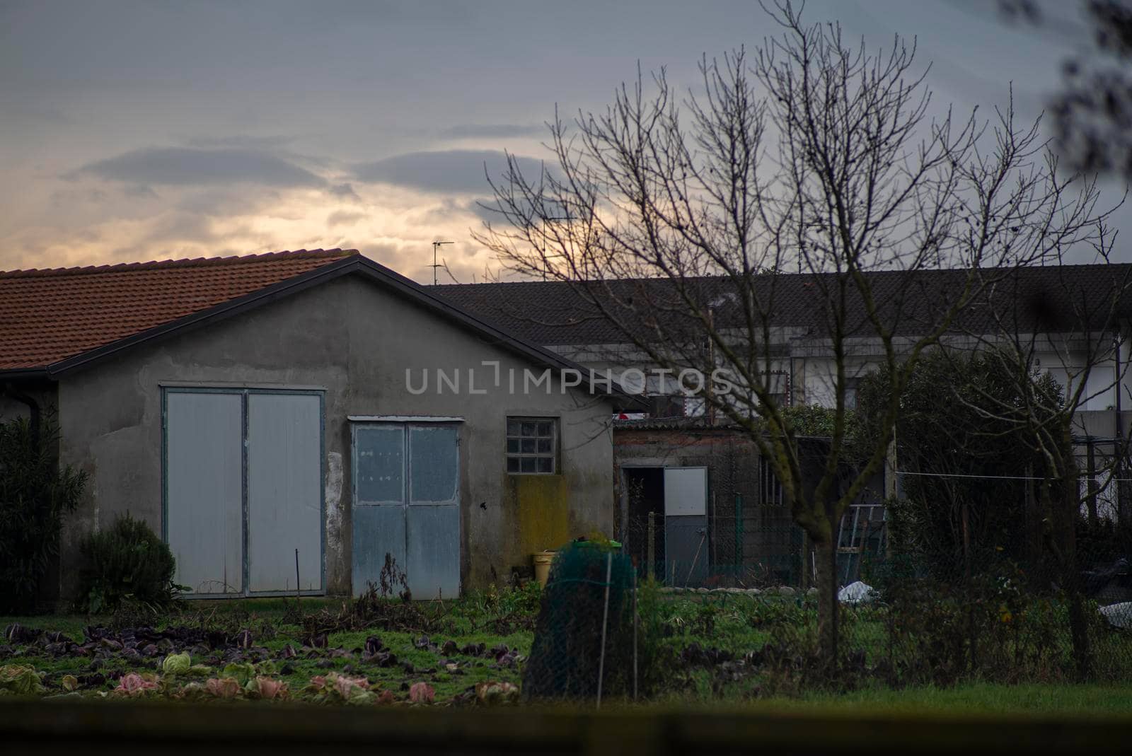 Poor country house immersed in the crops of northern Italy