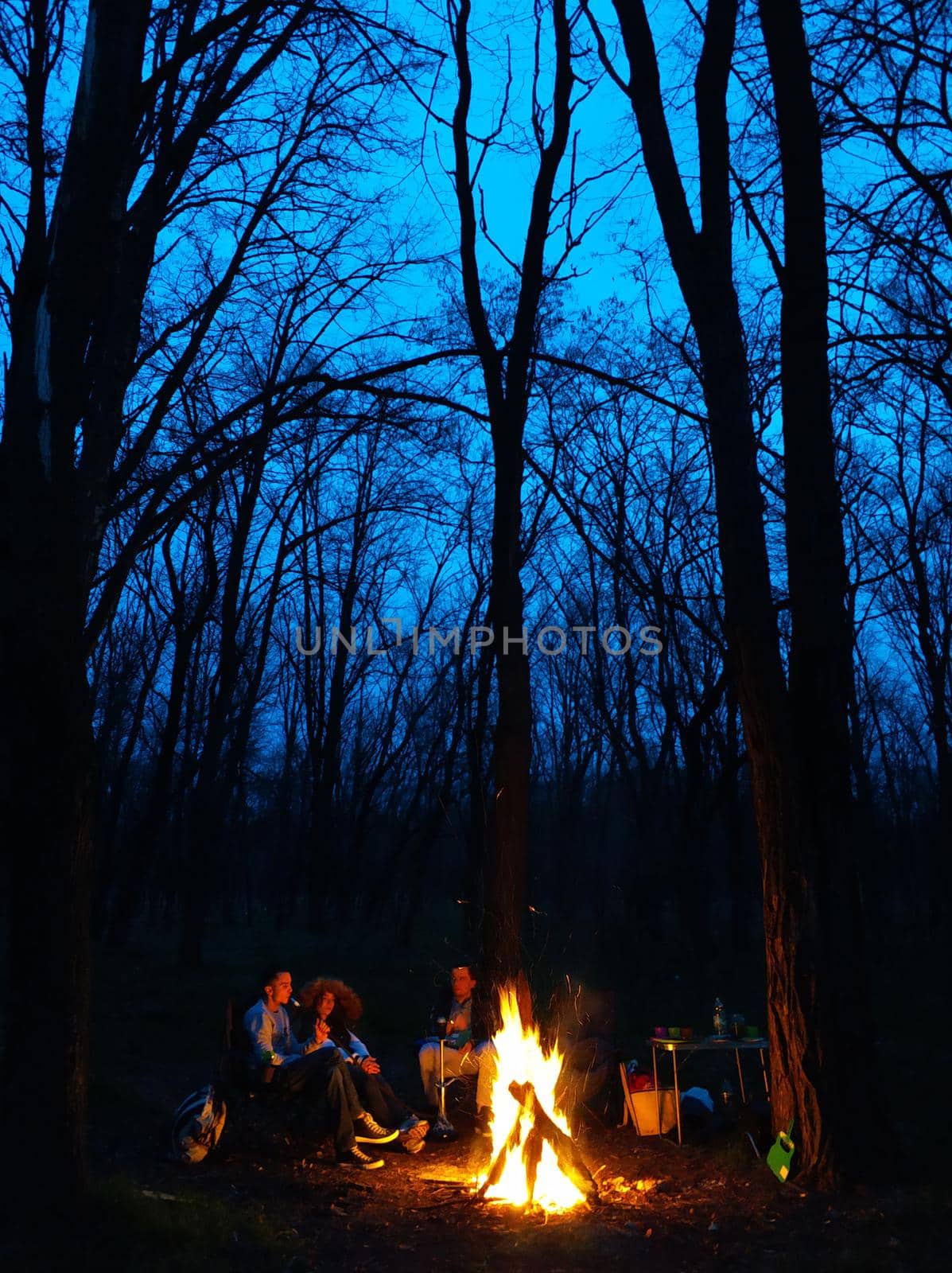 Campfire in the woods. Outdoor recreation.