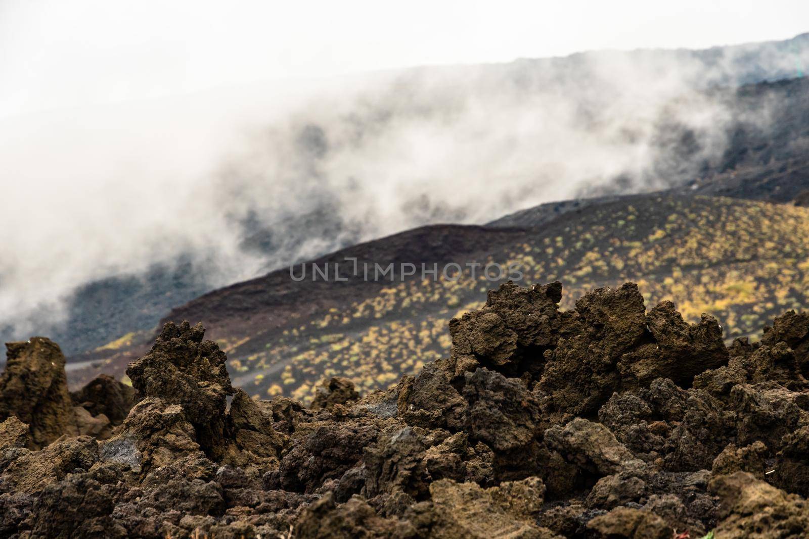 Mount Etna volcanic landscape and its typical summer vegetation by mauricallari